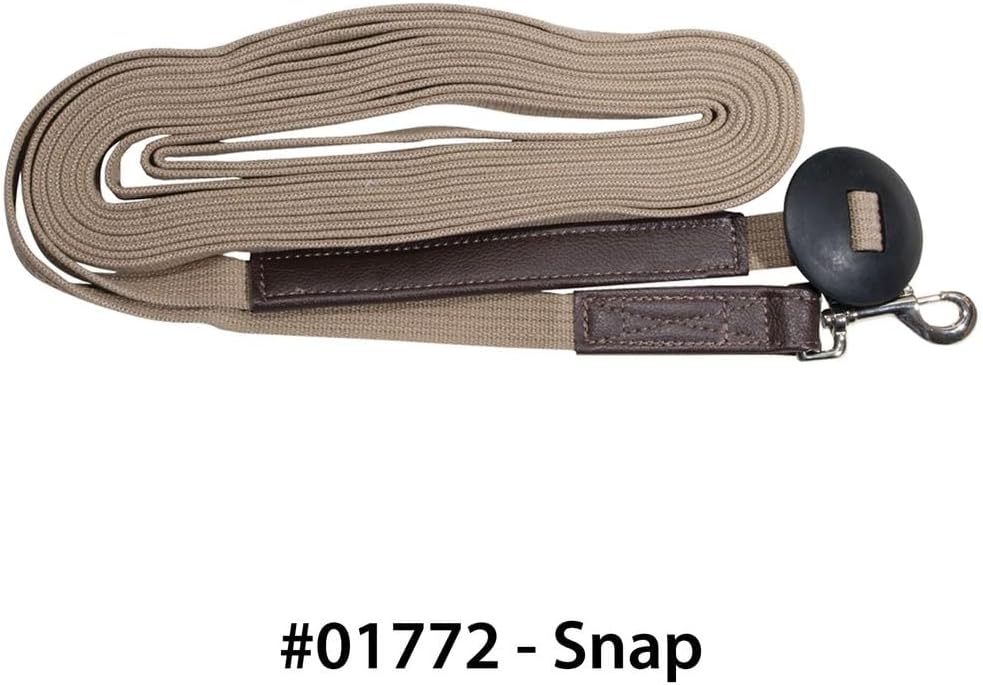 Schneiders Dura-Tech German Web Cord Lunge Line for Horses | Soft Grip Ribbed Webbing | Lightweight & Durable | Nickel-Plated Snap or Chain Options | Lunge Line with 30" Chain