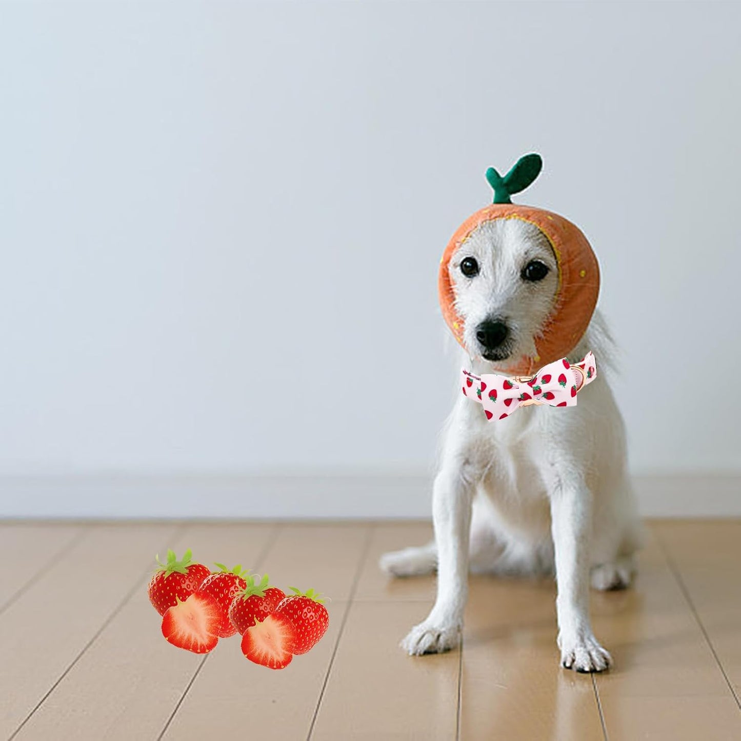 Elegant little tail Dog Collar, Strawberries Print Pet Collar Summer Dog Collar Durable Metal Buckle Dog Collars Cotton Pet Adjustable Dog Collars for Small Dogs