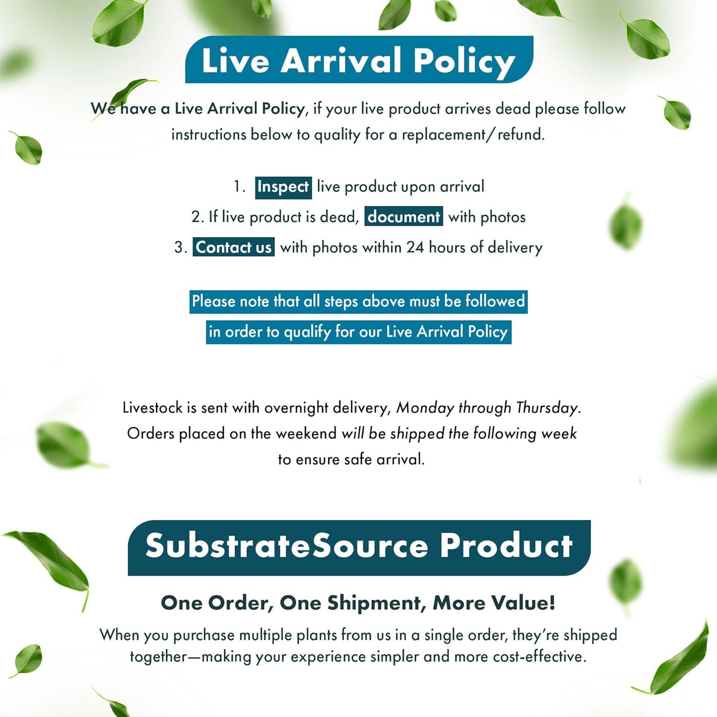 SubstrateSource Live Plant - Tall Grass, Vallisneria Americana - Easy Care, Moderate to High Light, Bright Green Accent, Freshwater Aquatic Plant for Aquascaping - Lead Bunch