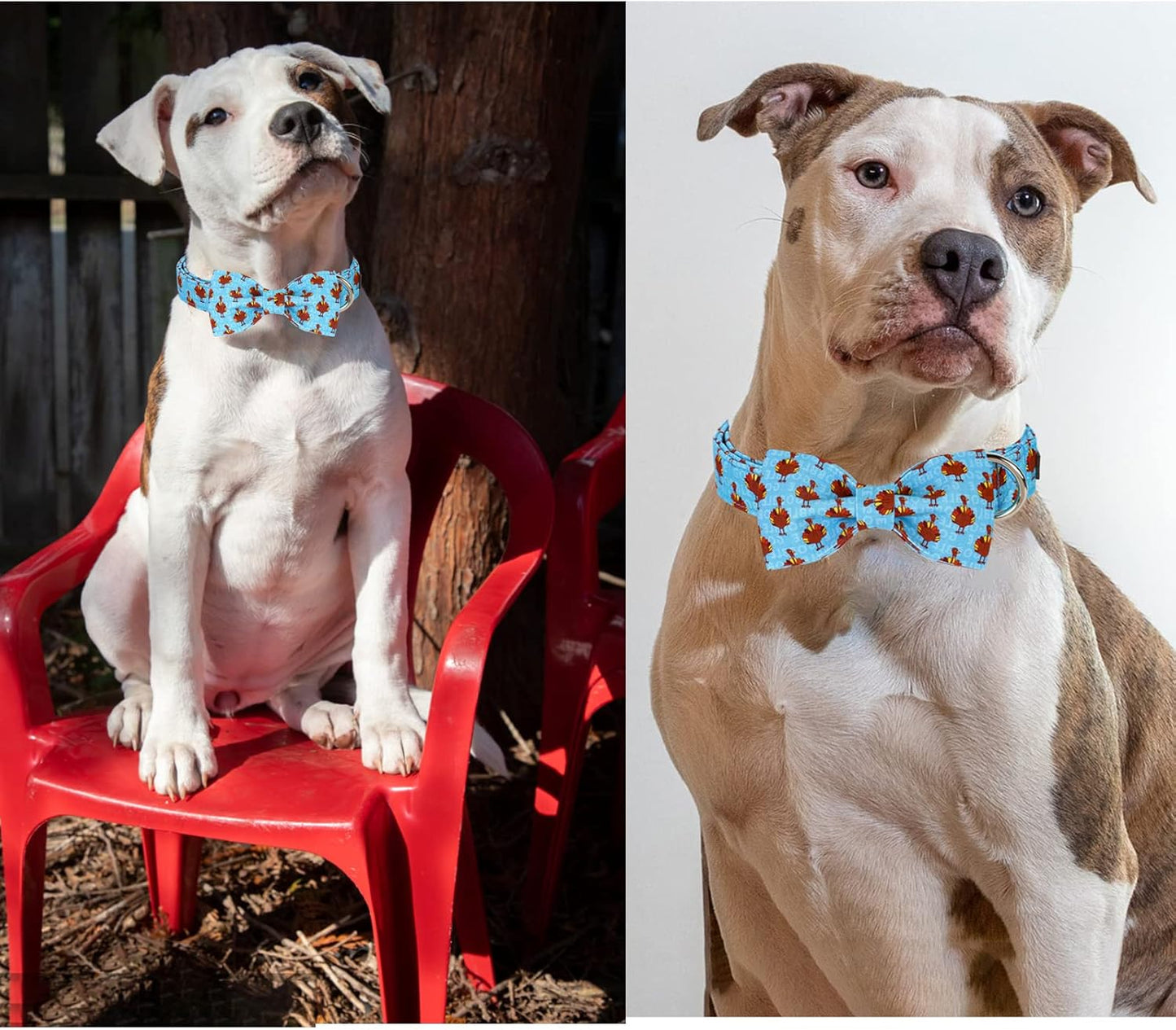 Unique style paws Christmas Dog Collar with Bow Tie Red Elk Cotton Collar Adjustable Puppy Collar for Small Medium Large Dogs-XS