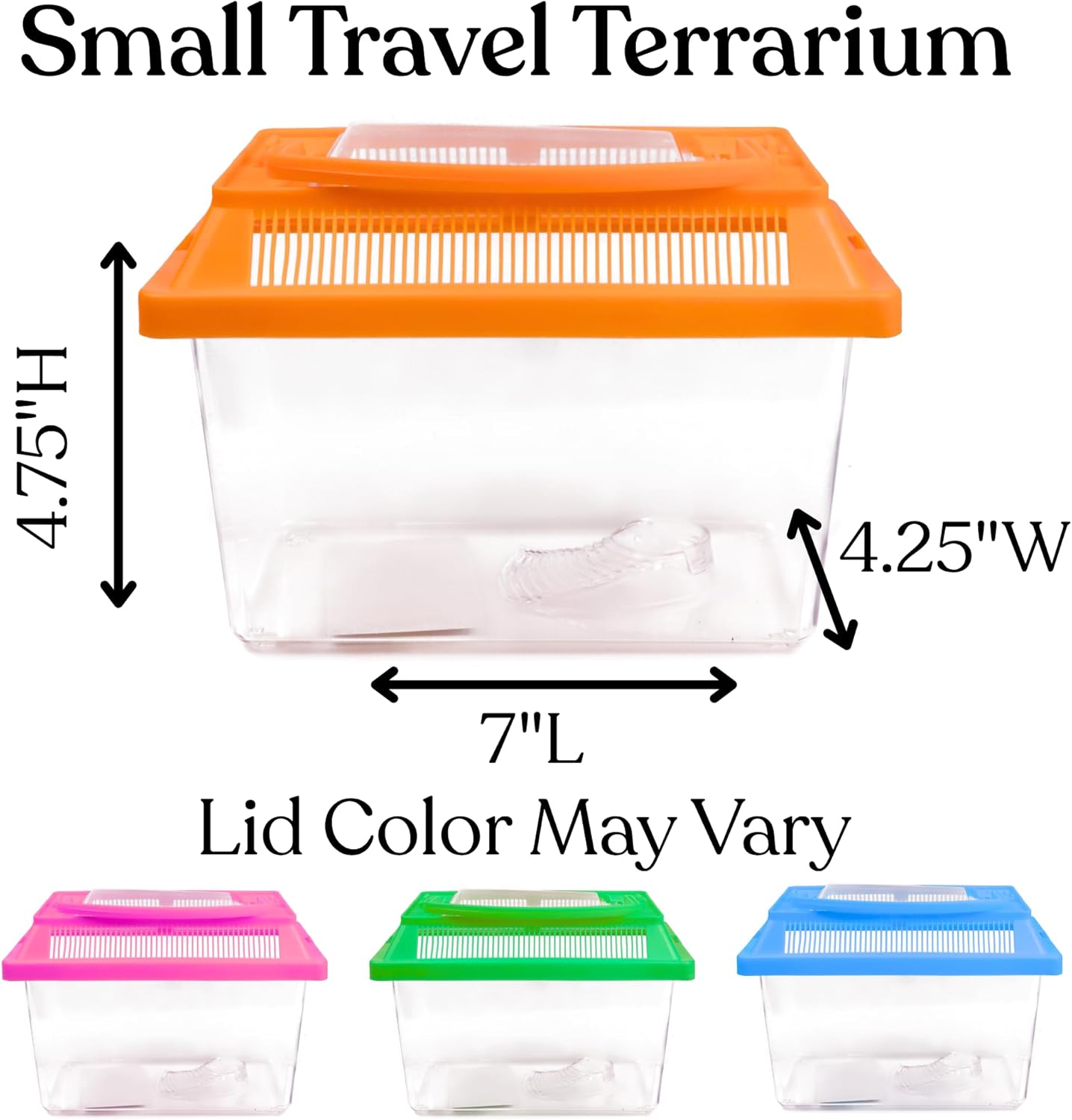 Needzo Mini Neon Plastic Reptile Carrier, Small Terrariums for Hermit Crabs, Lizards, and More with Palm Tree Accessory, Crab Hunting Supplies, Color May Vary, 7 Inches