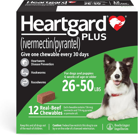 HEARTGARD® Plus (ivermectin/pyrantel) Real-Beef Chewables for Dogs 26-50 lbs (Green Box) 12 Month Supply of Chews (Heartworm Disease Preventive)