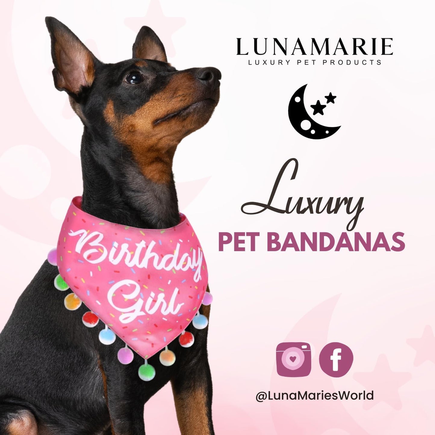 LunaMarie - Luxury Pet Birthday Bandanas -Premium & Silky Poly Fabric | 100% Handmade | Custom Shape Dual Layered (Birthday Girl, Small)