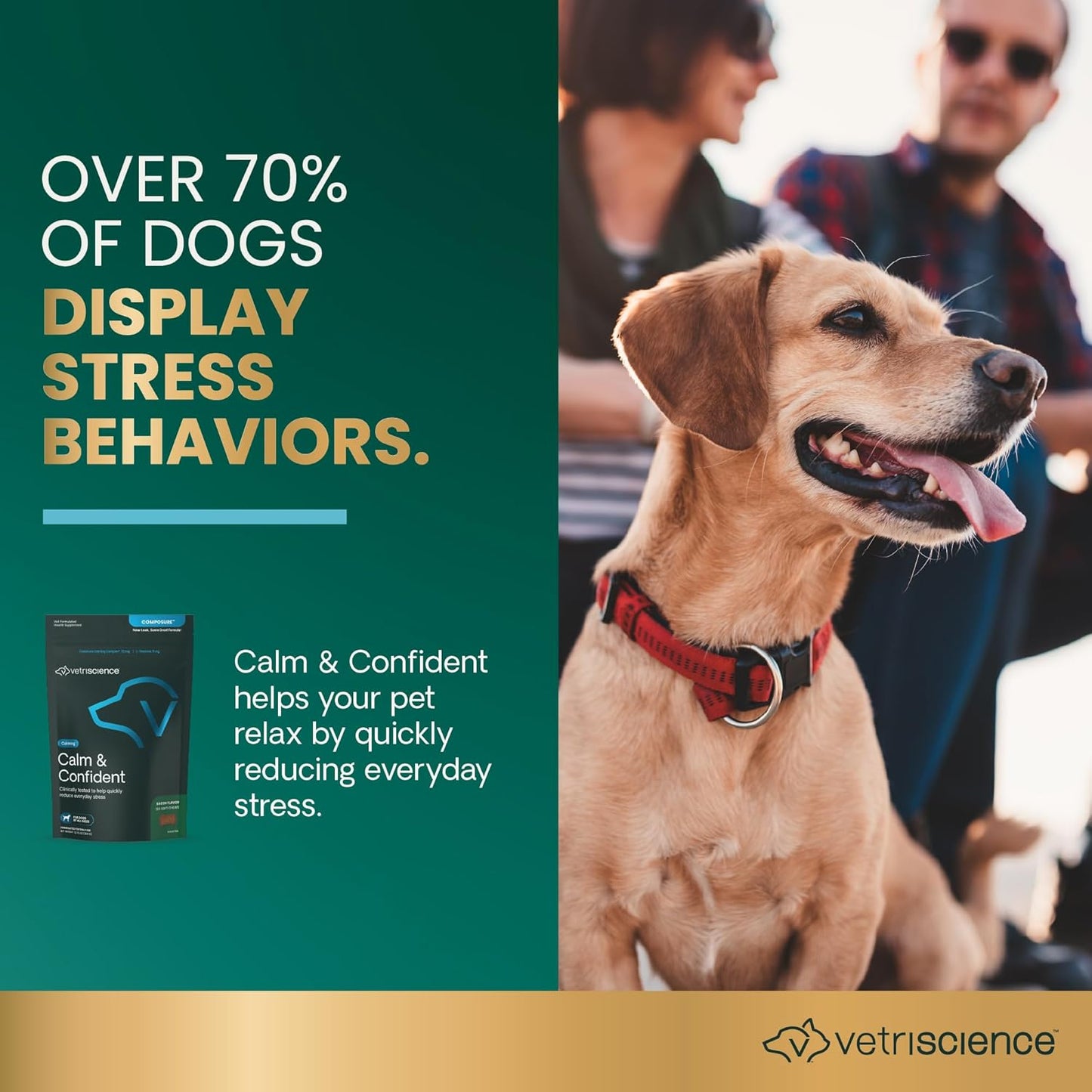 VetriScience Calm & Confident Calming Chews for Dogs, Supplement for Stress Support, Thunderstorms, Fireworks, & Travel, Bacon, Soft Chews, 120 Count - New Look