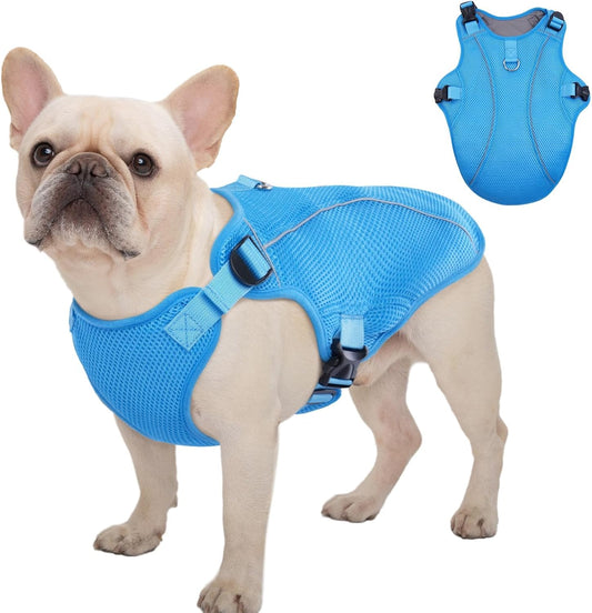 Kuoser Dog Cooling Vest Harness, Small Puppy Cooler Jacket with Adjustable Buckle for Outdoor Beach, Hiking, Training Blue S