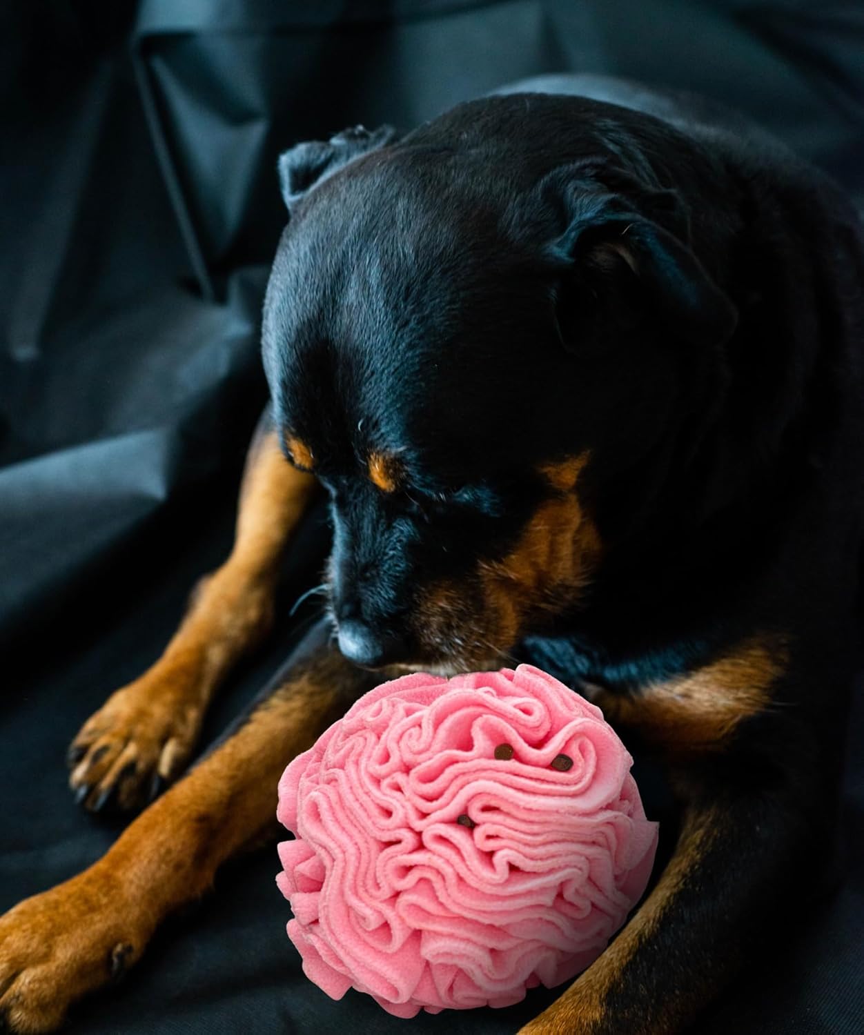Glory To Dog Medium Breed Snuffle Interactive Foraging Dog Puzzle Ball Toy Pink Large