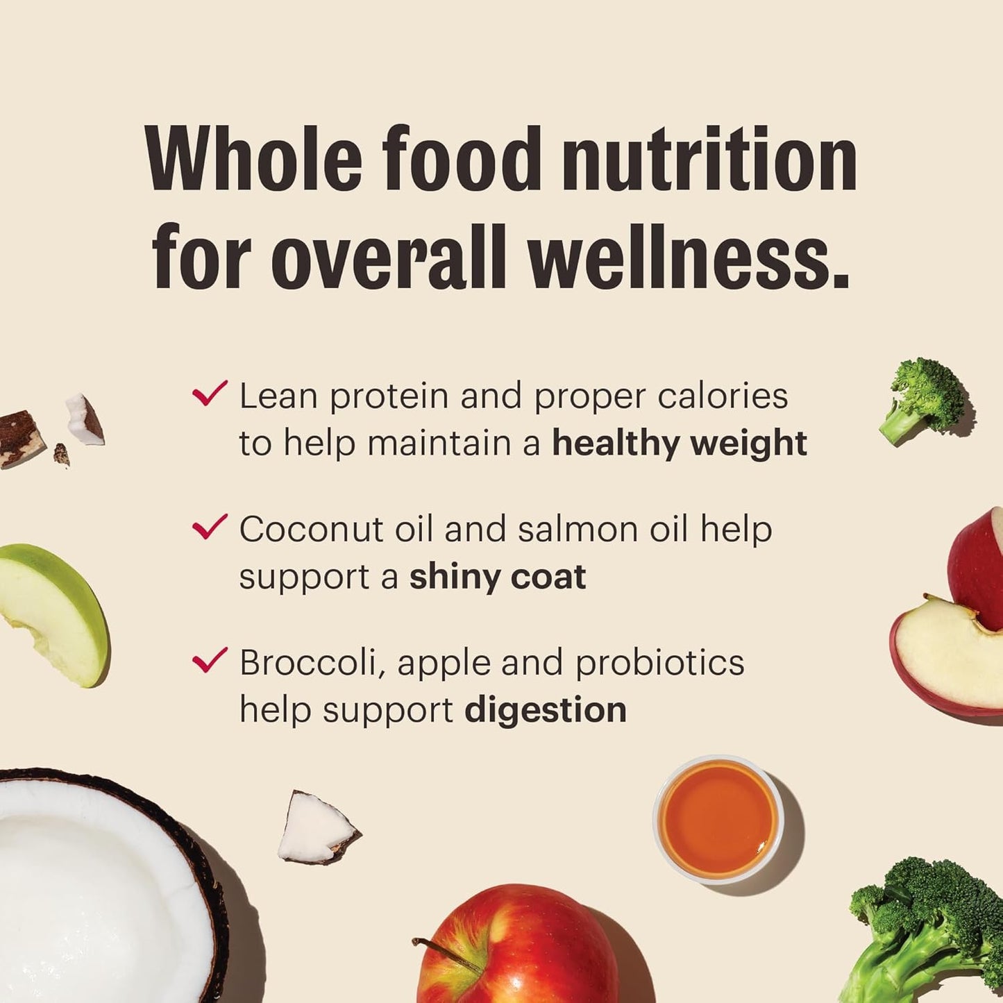 The Honest Kitchen Whole Food Clusters Small Breed Blend Grain Free Dry Dog Food - Chicken, 10 Pound Bag