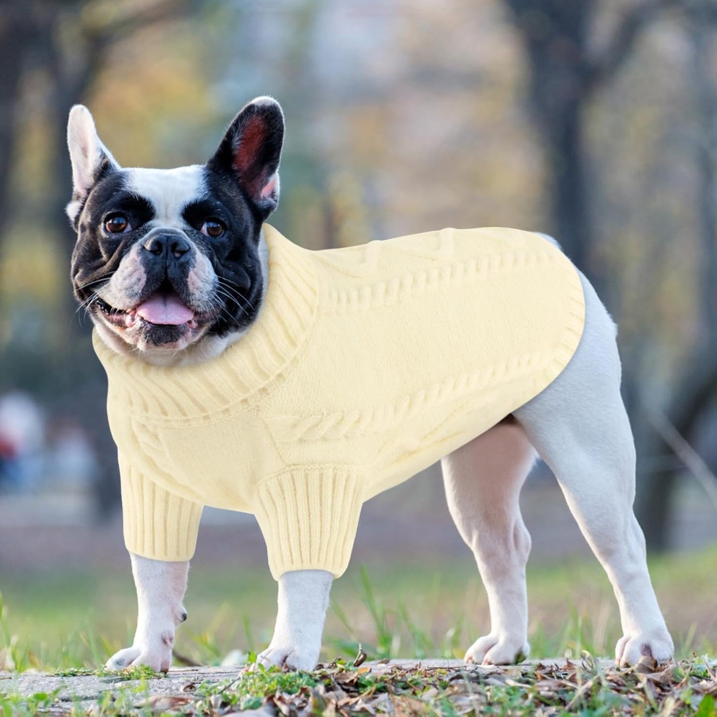 Queenmore Small Dog Pullover Sweater, Cold Weather Cable Knitwear, Classic Turtleneck Thick Warm Clothes for Chihuahua, Bulldog, Dachshund, Pug (White, Medium)