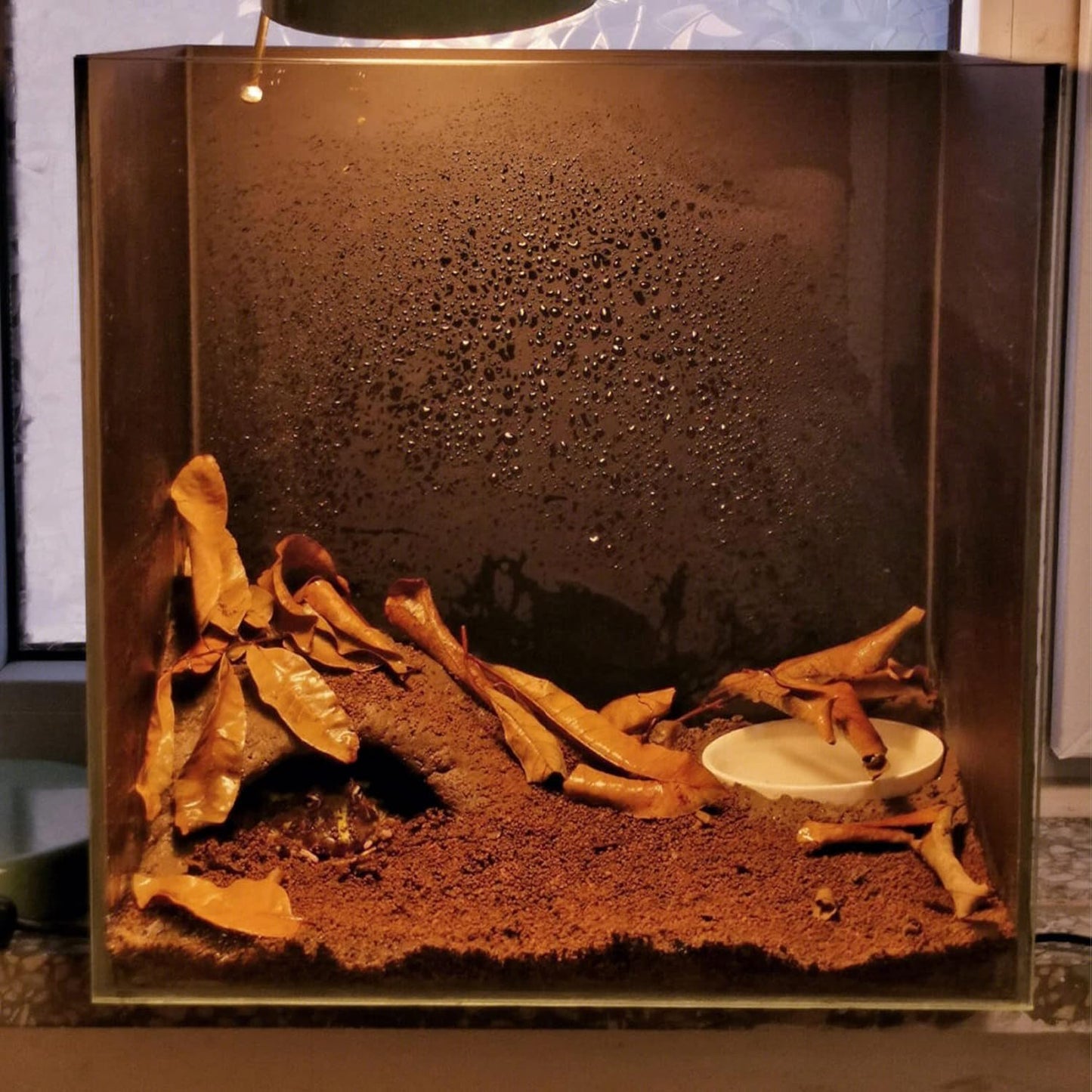 BNOSDM Reptile Soil Substrate Fluffy Small-Strand Reptile Substrate and Snake Bedding Clean Natural Terrarium Bedding for Lizards Snakes Tortoises Tarantulas