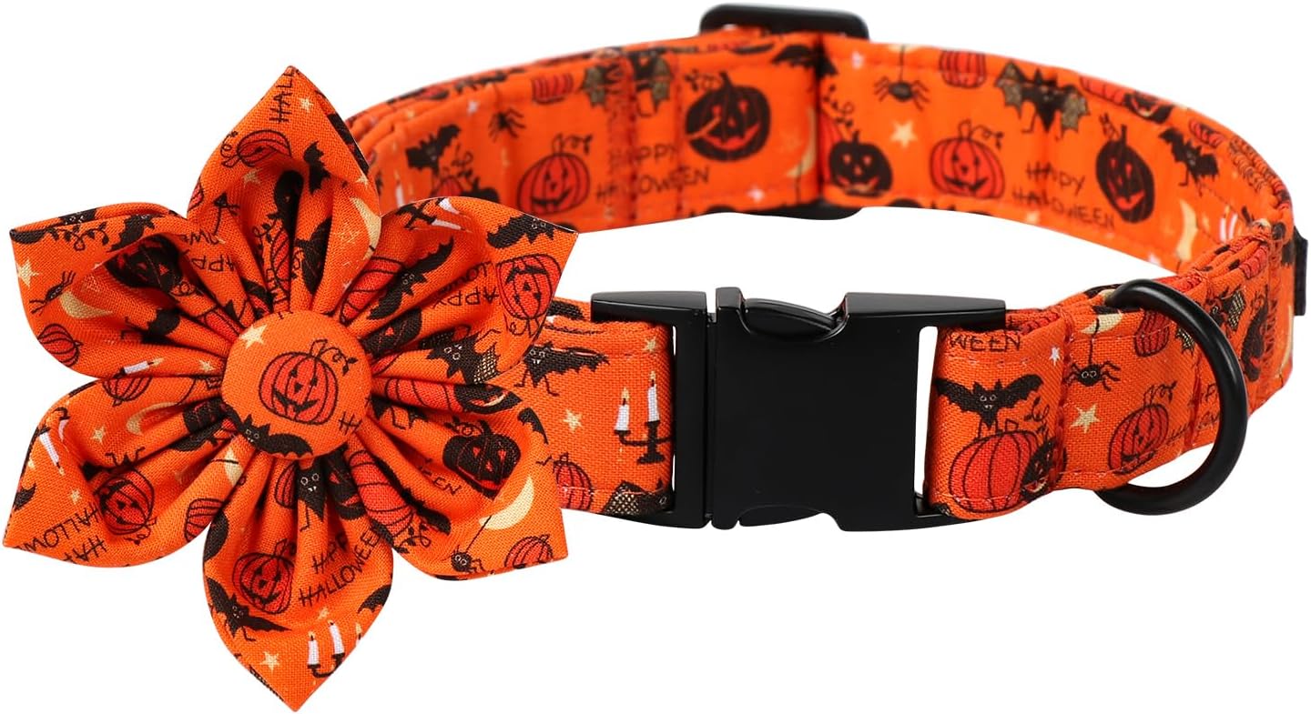 Lionet Paws Halloween Dog Collar with Flower, Cute Fall Orange Dog Collar for Large Dogs, Adjustable Cotton Pumpkin Bat Pet Collars for Girl Dogs