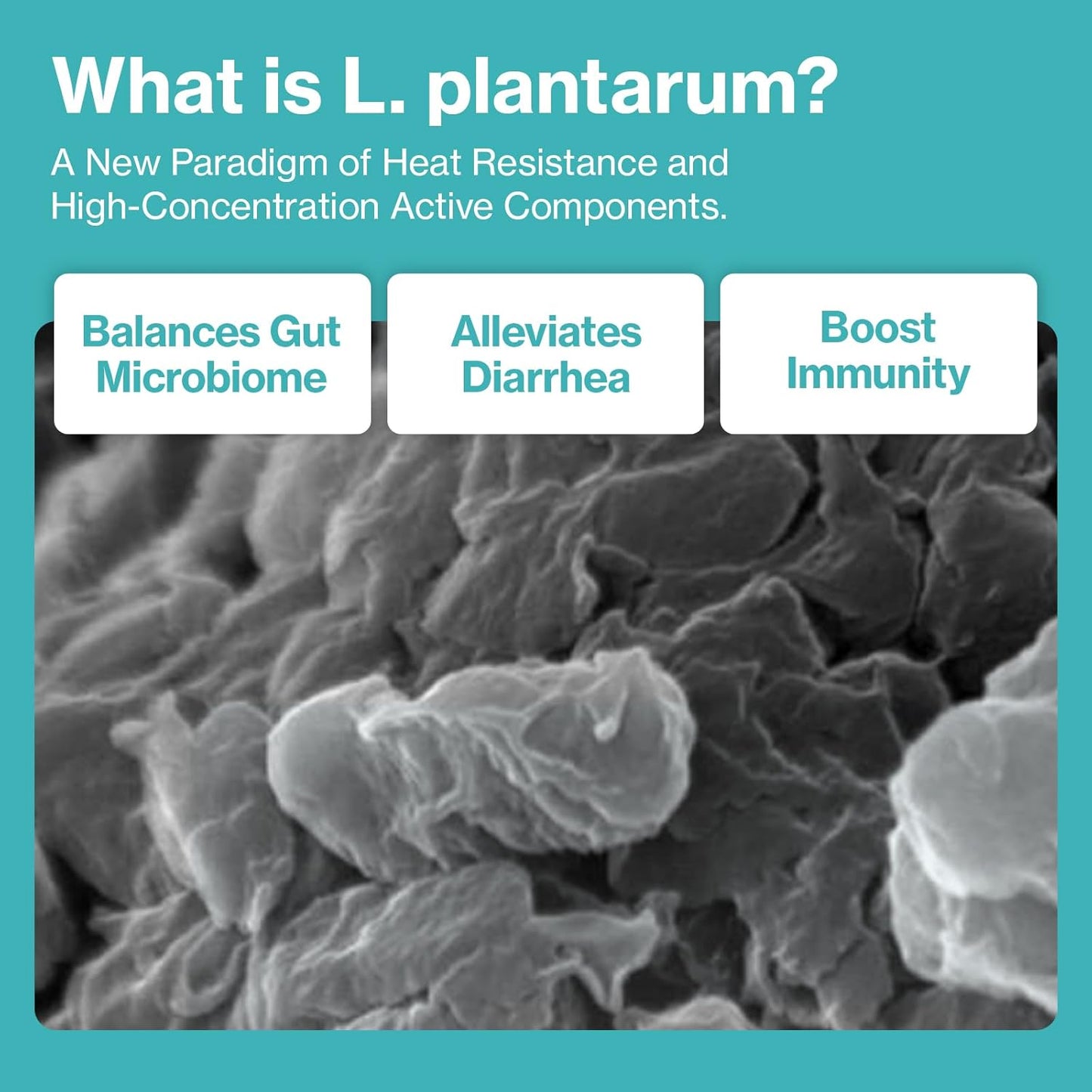 Dr.by CAT BIOME Cat Probiotics - Digestive & Gut Support for Cats, Diarrhea Relief, Immunity Booster with Lactiplantibacillus plantarum Lickable Formula Individually Packaged