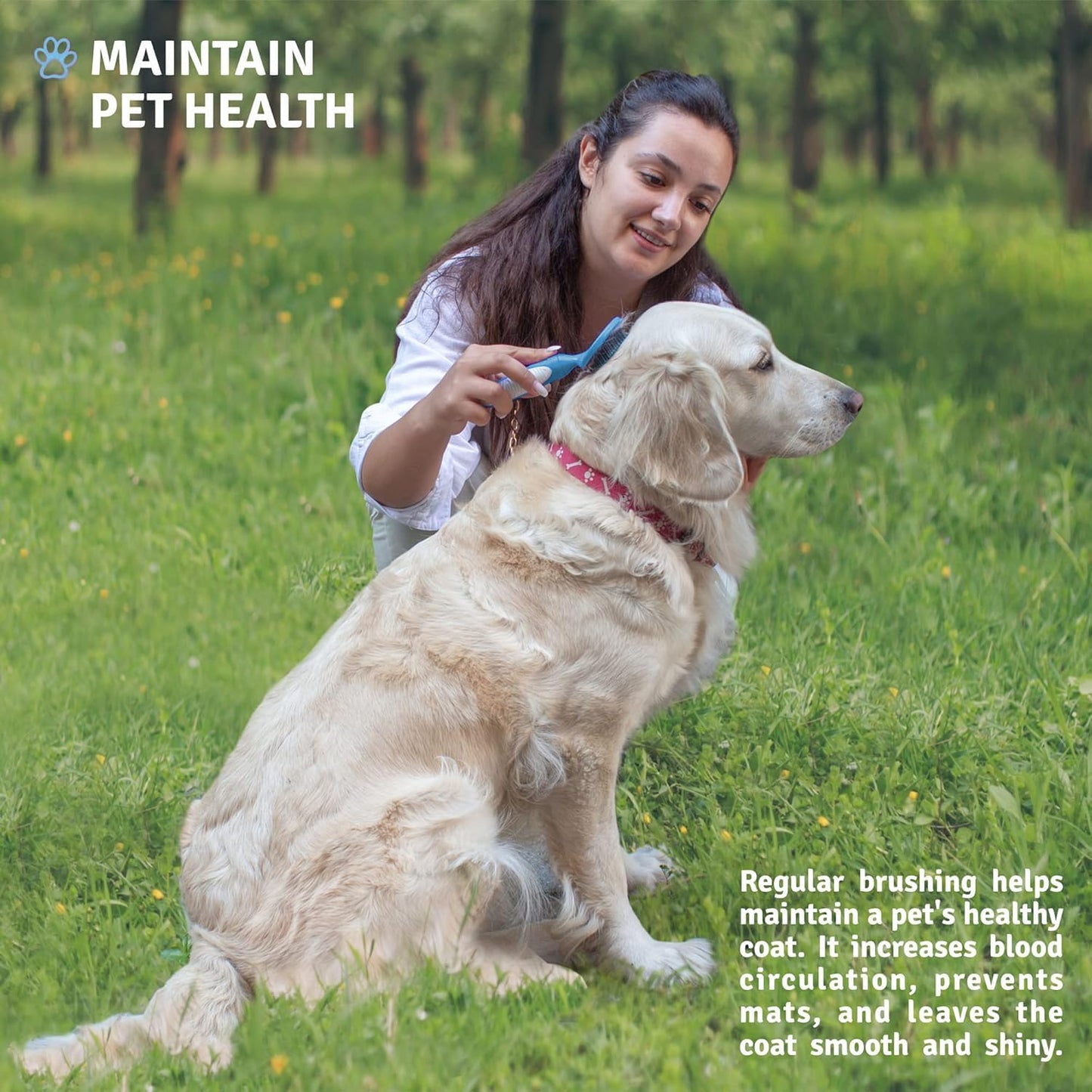 Round Bristle Pet Brush for Dogs and Cats - Soft Dog Brush for Grooming Short or Long Hair - Gentle Tool for Sensitive Skin Removes Dander, Dirt, and Detangles (Blue)