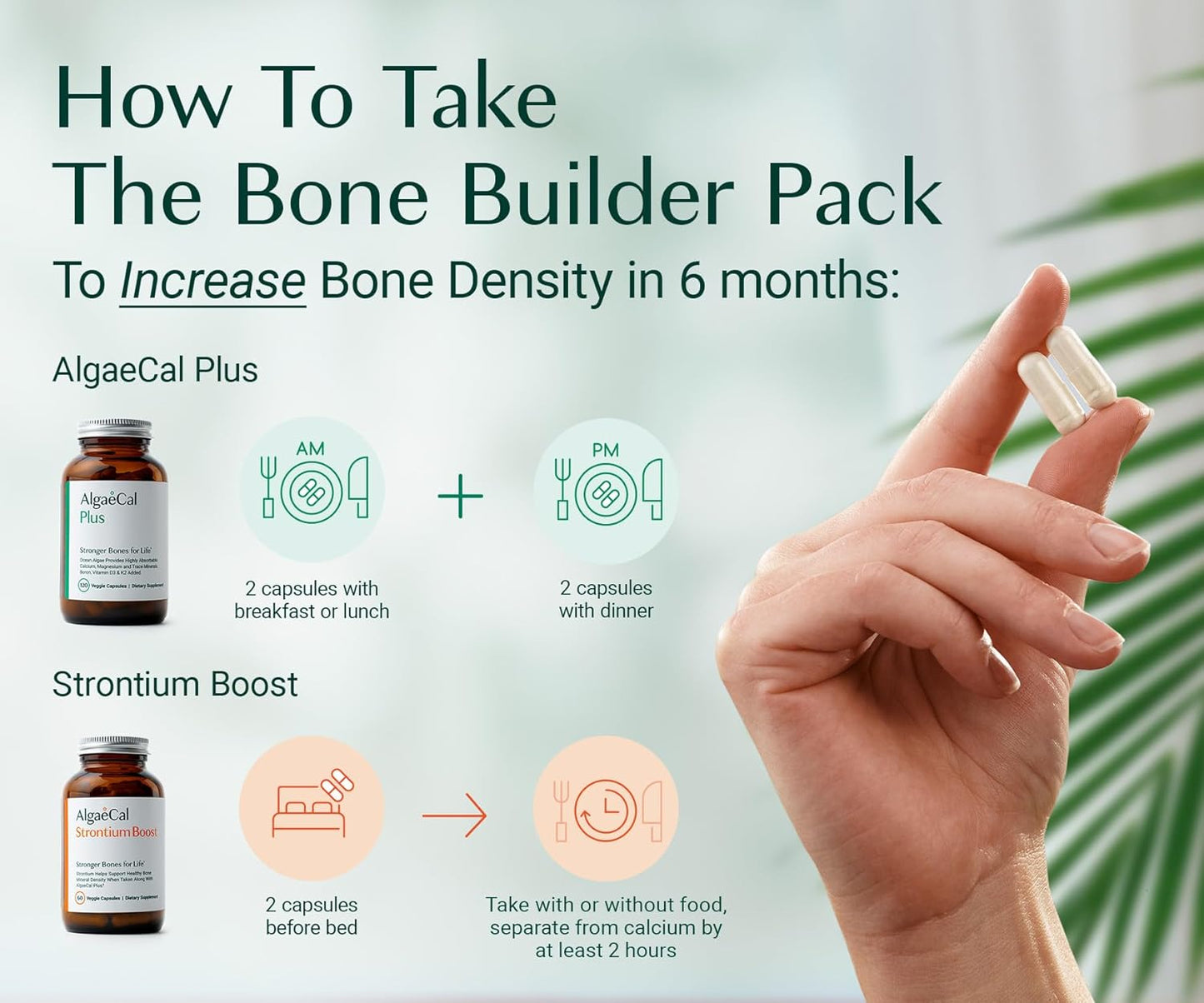 ALGAECAL - Bone Builder Pack for Bone Density, Clinically Supported Plant Based Calcium Supplements & Strontium, Vitamins K2, D3, Magnesium & 16 Minerals, 3-Month Supply, Made in USA
