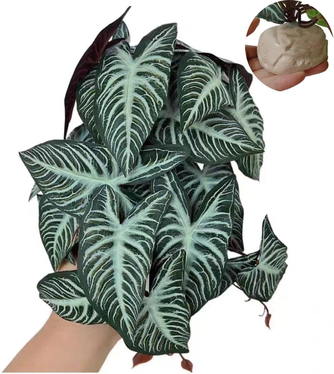 Reptile Plants,Terrarium Decor,Amphibian Habitat Decor,Artificial Plants for Gecko Chameleon Snake Tortoise Tank Accessories with Base(Xanthosoma sagittifolium)