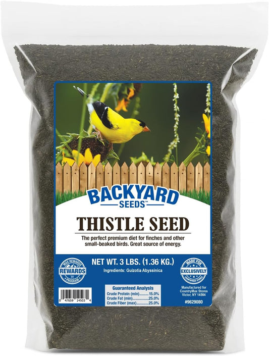 Nyjer Thistle Seed (3)