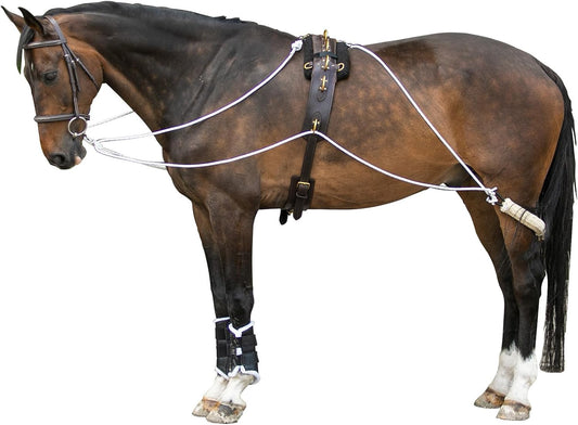 Advanced European Training System | Advanced Training Tool | Enhances Horse Carriage and Headset | Encourages Forward Movement | Strengthens Key Muscles | Not for Beginners