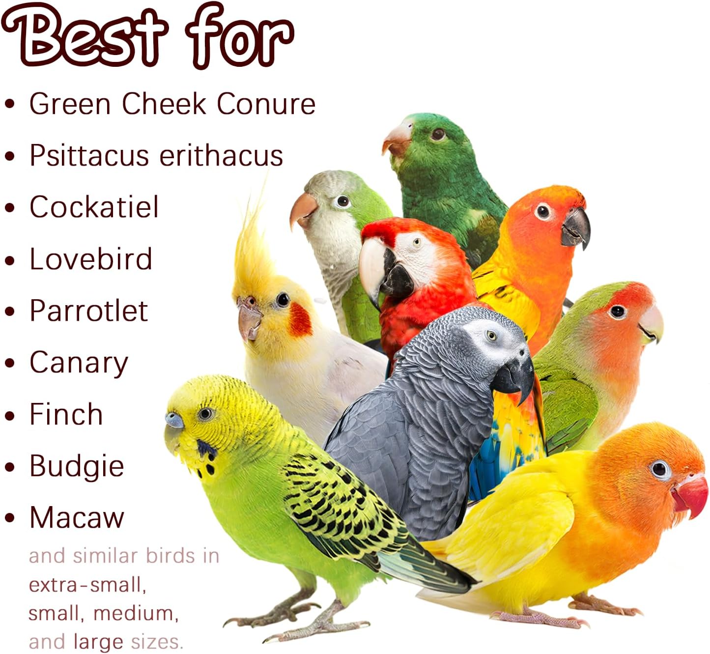 Nut Perch Stand with Interchangeable Materials – Natural, Safe Bird Playset for Beak Exercise & Mental Stimulation