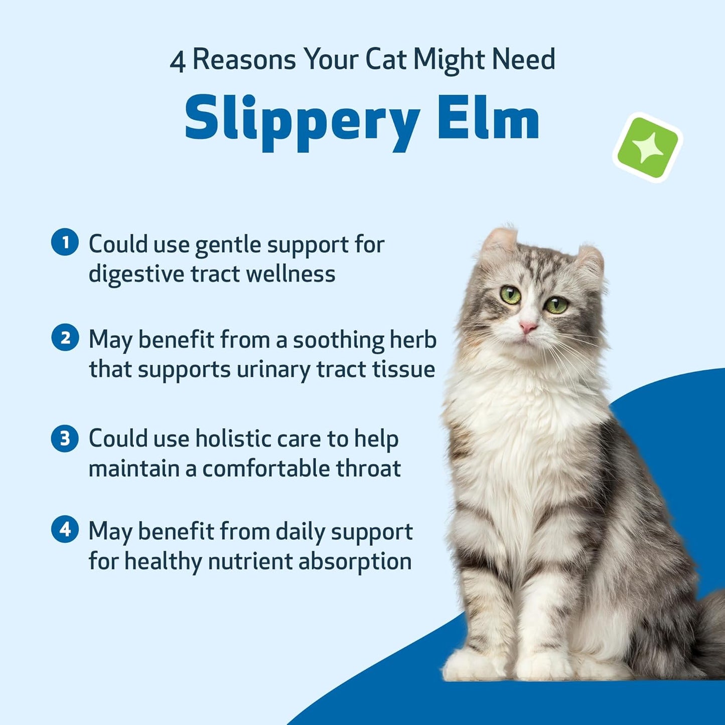 Pet Wellbeing Slippery Elm for Cats - Organic Herb, Supports Healthy Digestive Tract, Gut Lining, Throat Comfort, Lower Urinary Tract Health - Veterinarian-Formulated Herbal Supplement 2 oz (59 ml)