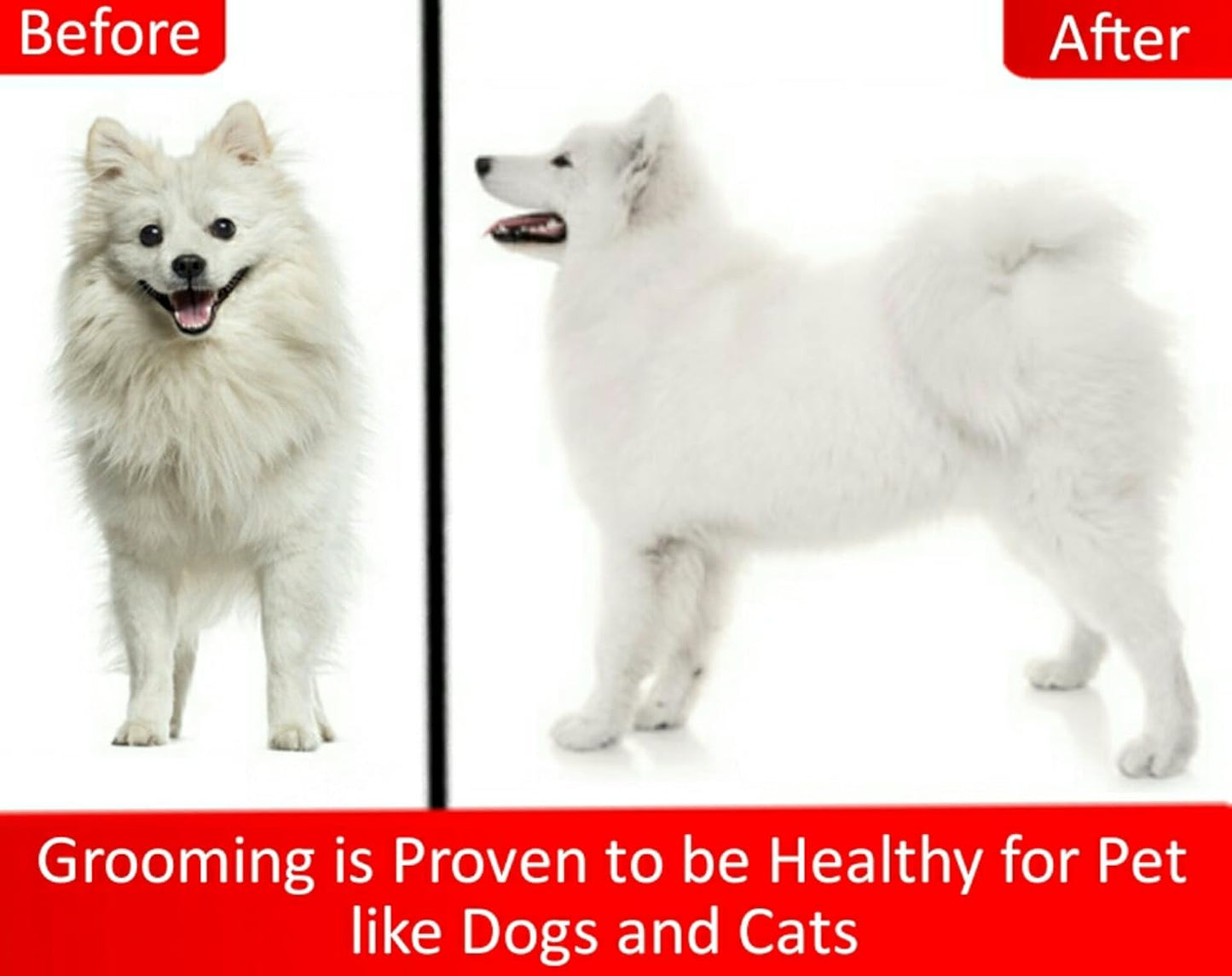 Mr. Peanut’s Pet Grooming Glove – Deshedding Hair Removal Mitt with Gentle Silicone Tips, Adjustable Wrist Strap & Breathable Mesh; Perfect for Dogs, Cats, Rabbits & Small Pets