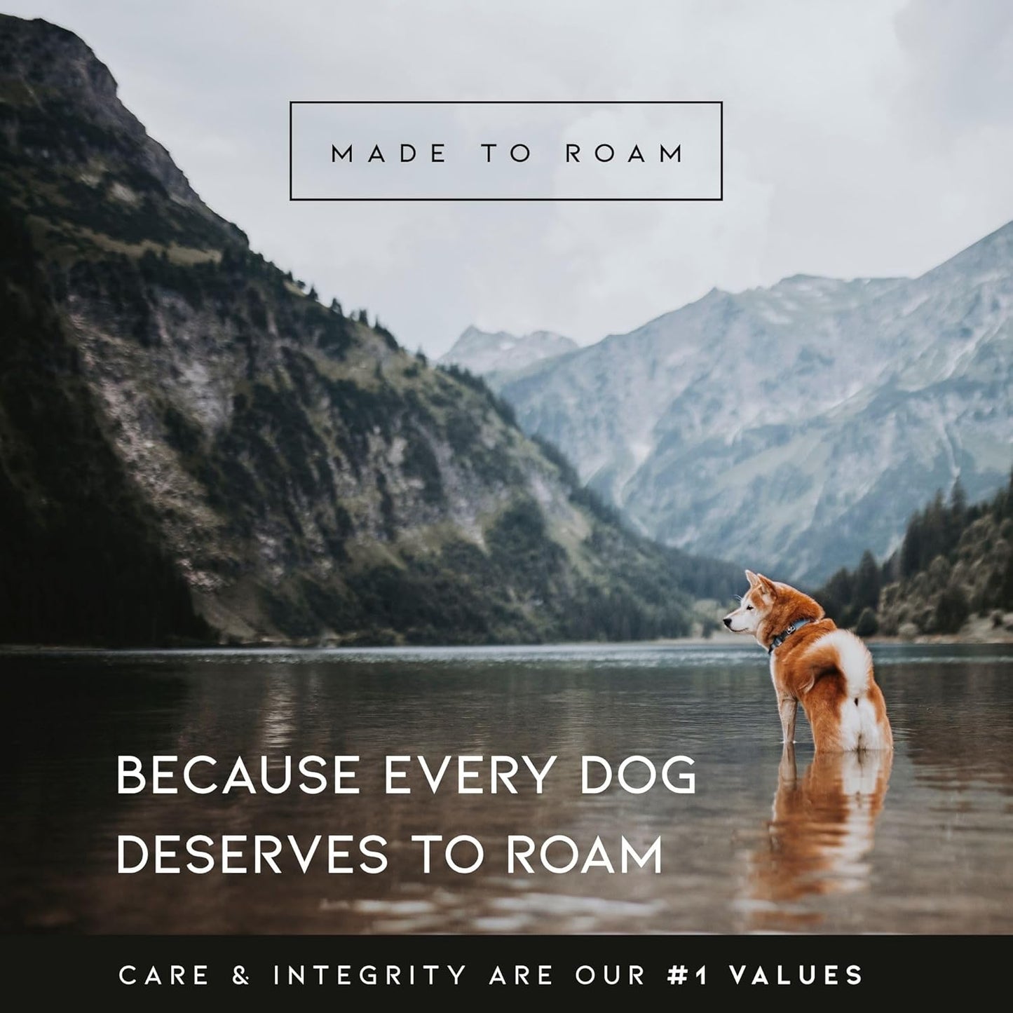 MADE TO ROAM Premium Explorer Harness - Y-Shaped Dog Harness with Adjustable Durable Nylon, Soft Padding, Metal Buckles and Leather Handle for Small, Medium, Large Dogs (Utah Glow, Size 6)