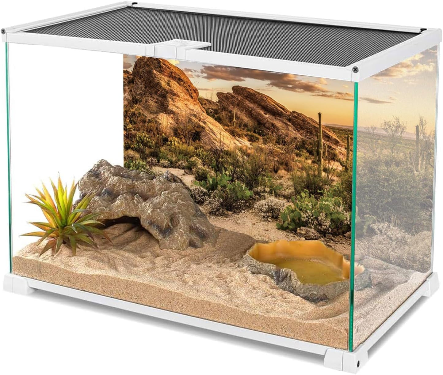 AWERT Reptile Habitat Background Blue Sky Oasis Cactus Sun and Desert Terrarium Background 30x12 inches Polyester Background