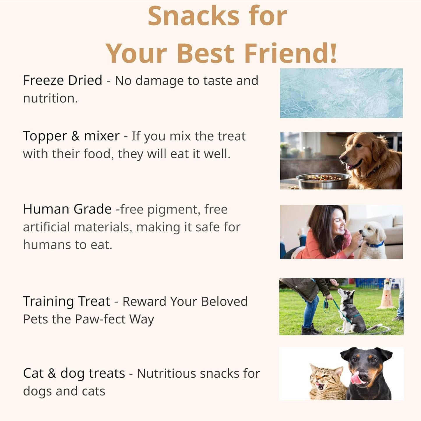 Puppyluv Treat - Air Dried Pollock Dog & Cat Treats, Wild Caught, Single Ingredient, Natural High Protein & Fish Oil, Grain Free, Gluten Free, 2.5oz