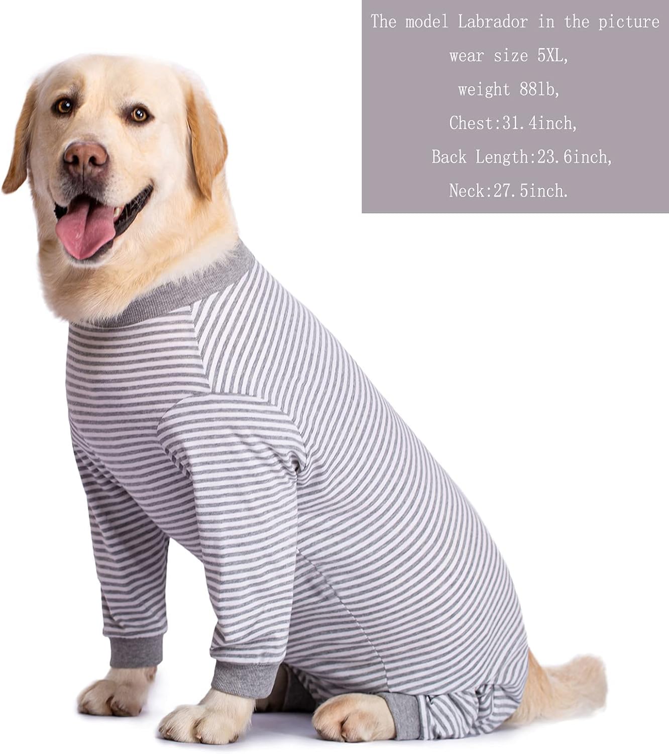 Yeapeeto Dog Onesie Surgery Recovery Suit for Large Medium Bodysuit Dogs Pajamas PJS Full Body for Shedding, Prevent Licking, Wound Protection, Cone Alternative (5XL, Grey)