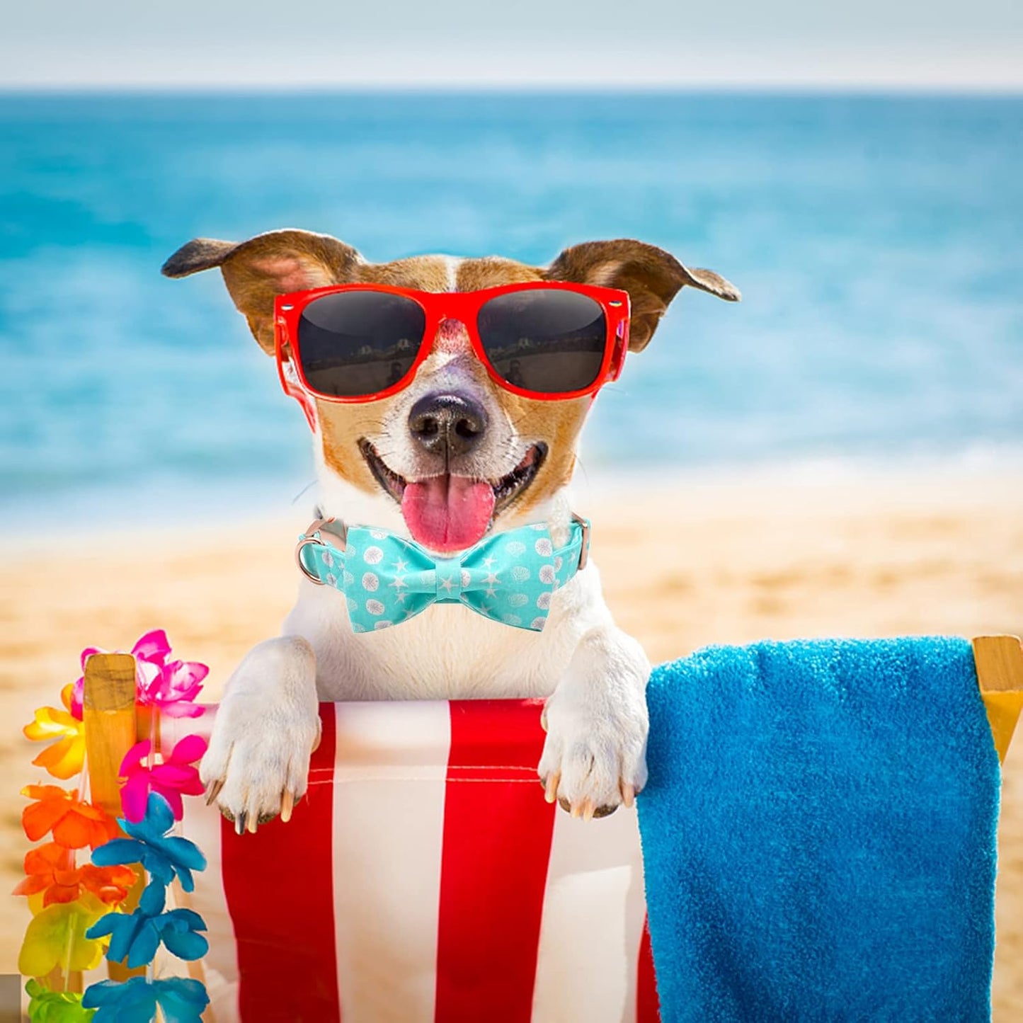 Elegant Little Tail Bowtie Collar for Small to Large Dogs