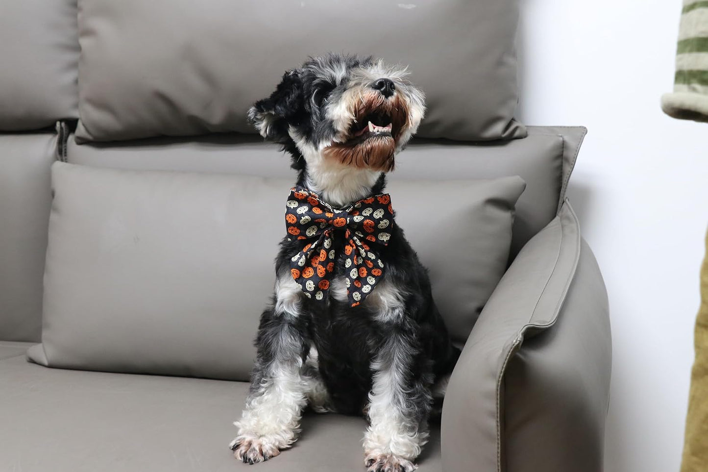 Lionet Paws Halloween Dog Collar with Bowtie - Cute Cotton Adjustable Black Bowtie Dog Collar with Metal Buckle for Small Medium Large Dog Girl Boy Gift, XXS, Neck 7-11in