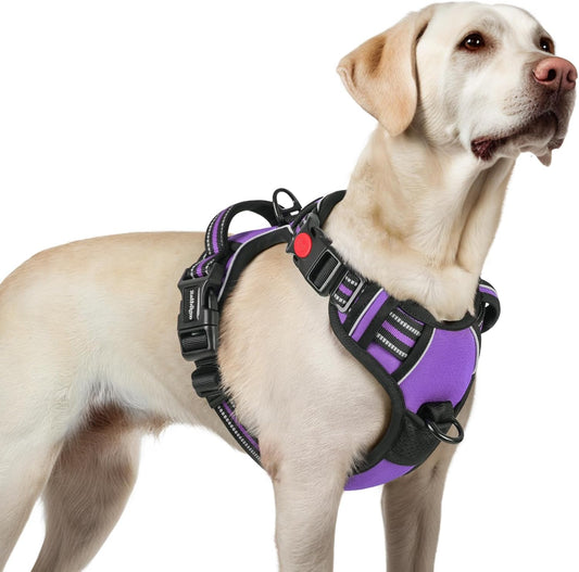 rabbitgoo Dog Harness for Large, No Pull Pet Harness with 3 Buckles, Adjustable Soft Padded Vest with Control Handle, Walking Reflective Pet Vest for Large Dogs, Purple, L