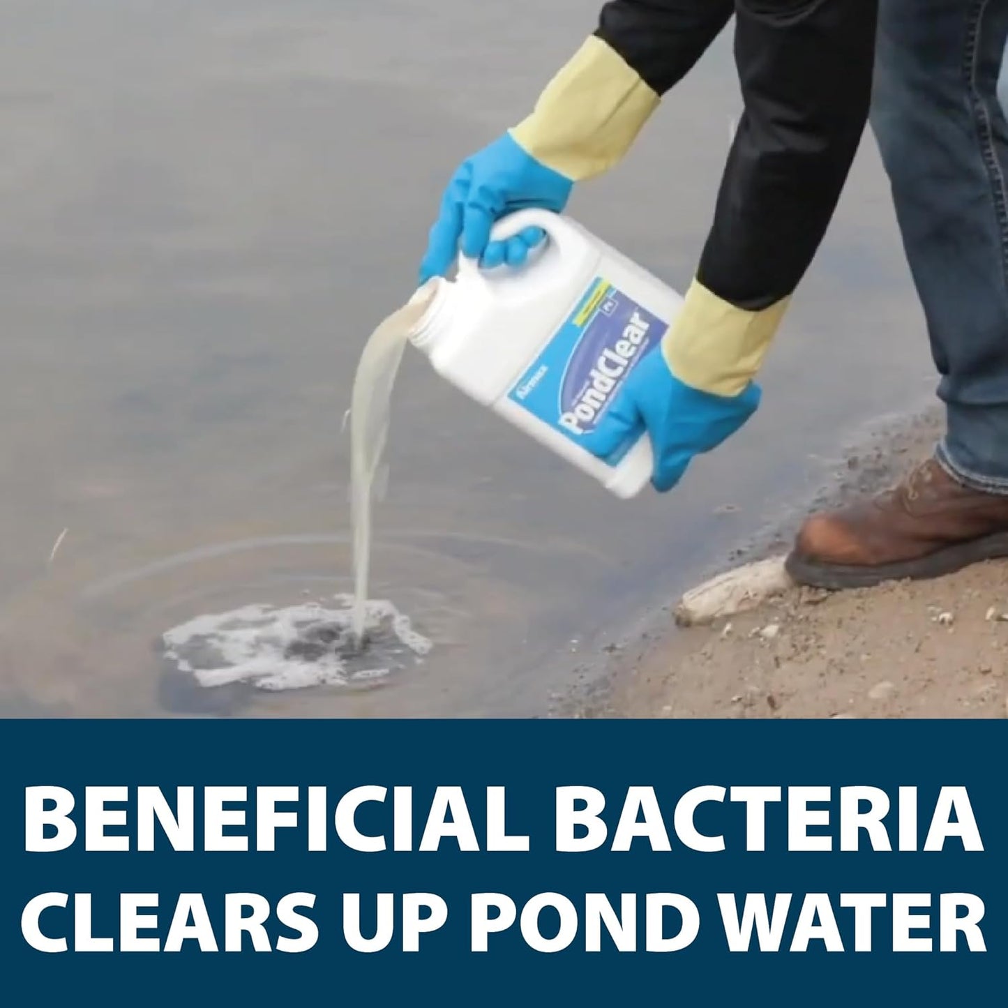 Airmax PondClear Liquid Bacteria for Lakes, Ponds & Water Garden Treatments, Natural Bio Clarifier & Cleaner for Crystal Clear Water, Remove Nutrients & Noxious Odor, Fish, Pet & Plant Safe, 1 Gallon