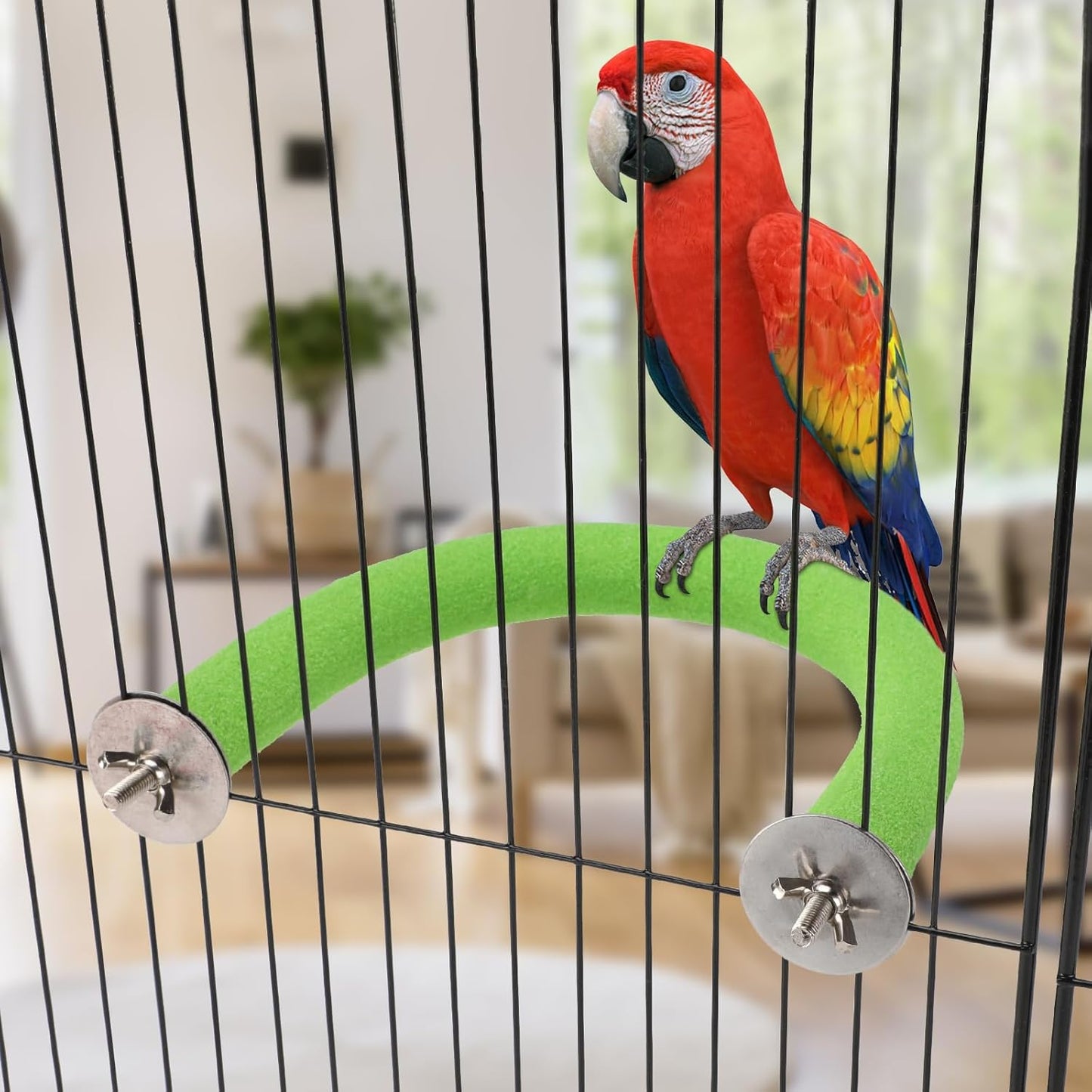 Rypet U Shape Parrot Perch Stand Toy for Paw Grinding Clean Stick Exercise, Rough-Surfaced Quartz Bird Perch Standing Cage Accessories for for Small Parakeets Cockatiels Conures Macaws Finches(Green)