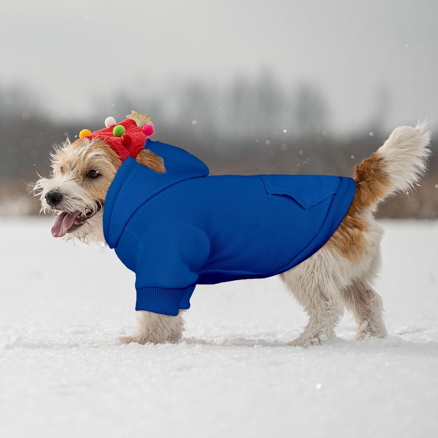 Dog Sweaters for Small Dogs Dog Hoodie Pet Sweater Solid Soft Brushed Fleece Pet Clothes Hoodie Sweatshirt with Pocket(Blue-S)