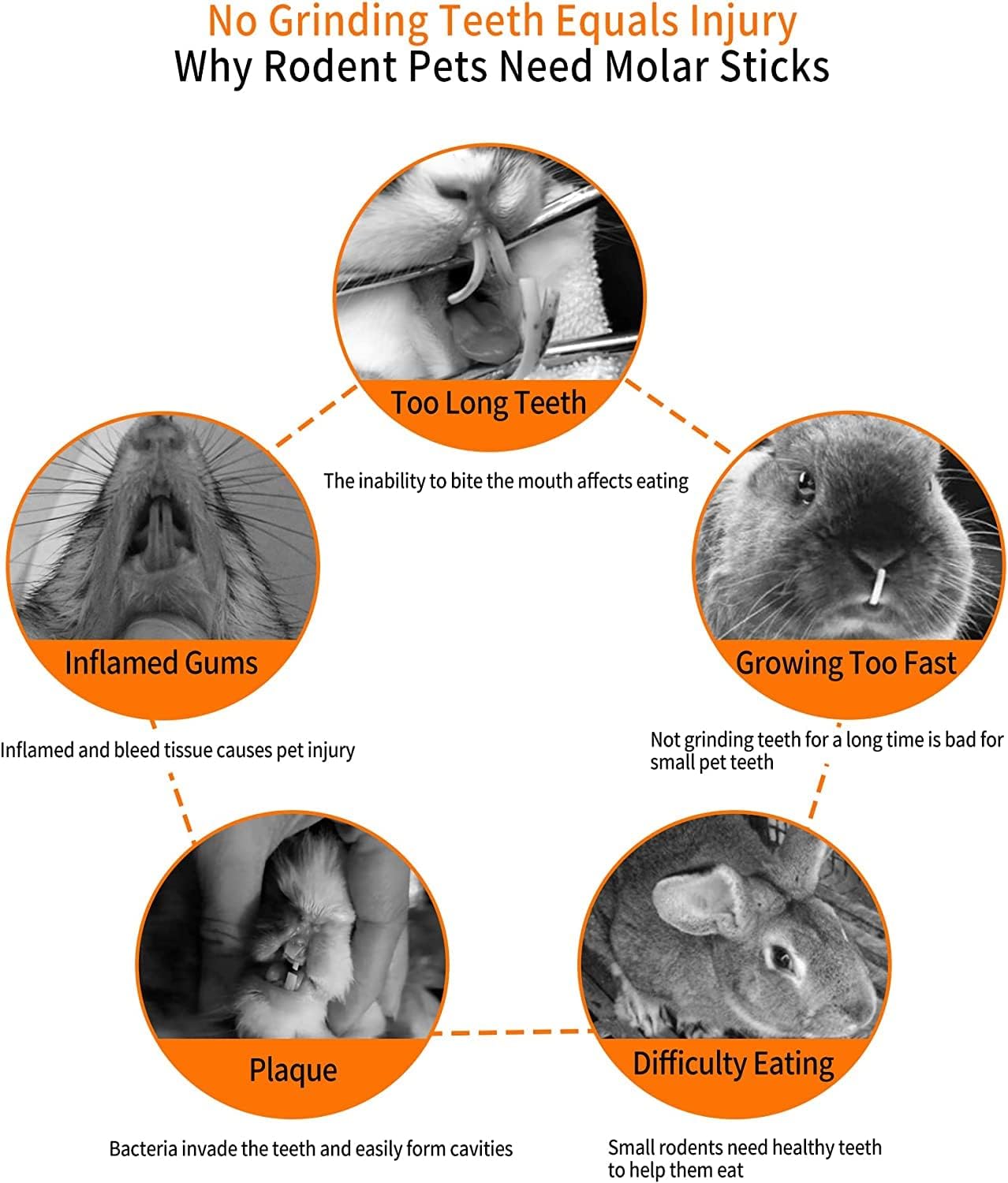 600g Apple Sticks Molar Wood Treats, Rabbit Toys Chinchilla Guinea Pig Bunny Toys Wood Chews Sticks for Teeth Rabbit Food Guinea Pig Hamster Gerbil Chews Small Animals Snacks(150 Pcs)