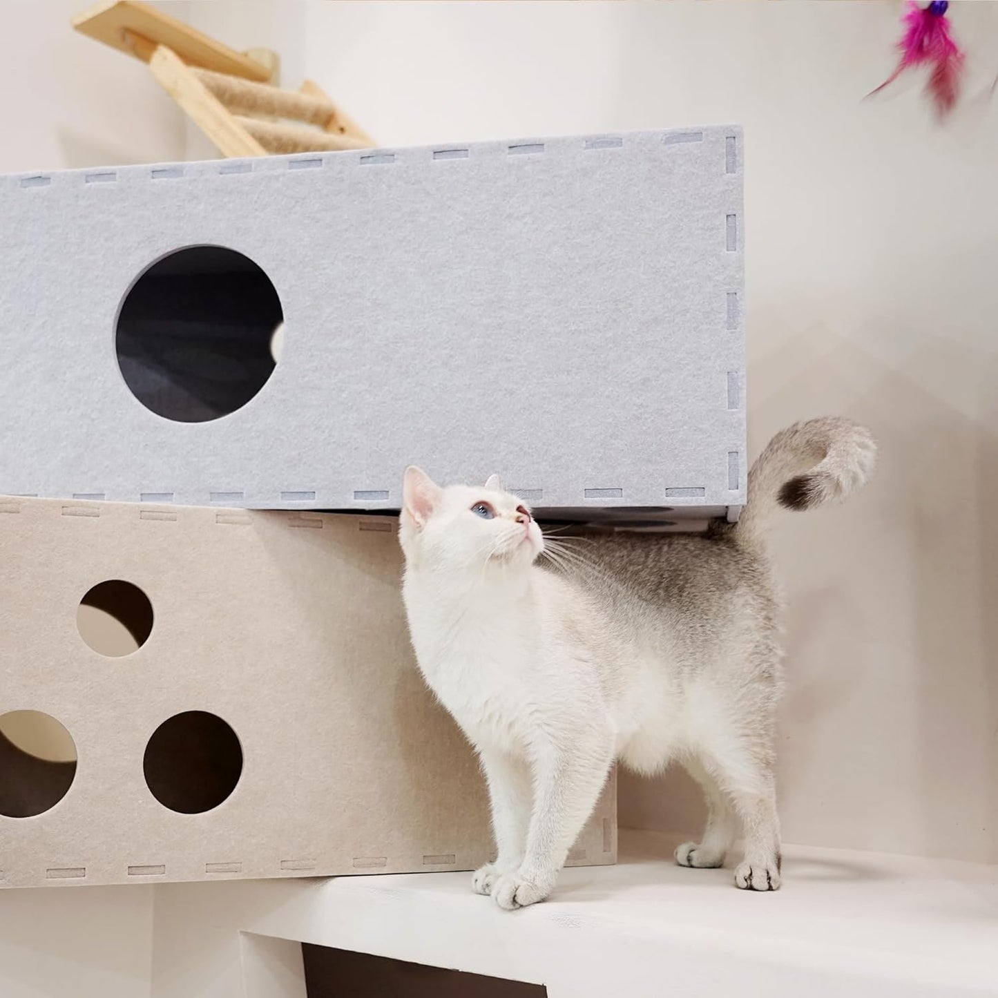 PETKARAY Cat Tunnel, Original Cat Hideaway Cave for Indoor Cats, Large Kitten Play Tubes and Tunnels, Soft Felt Cat Toy with Interactive Peek Hole