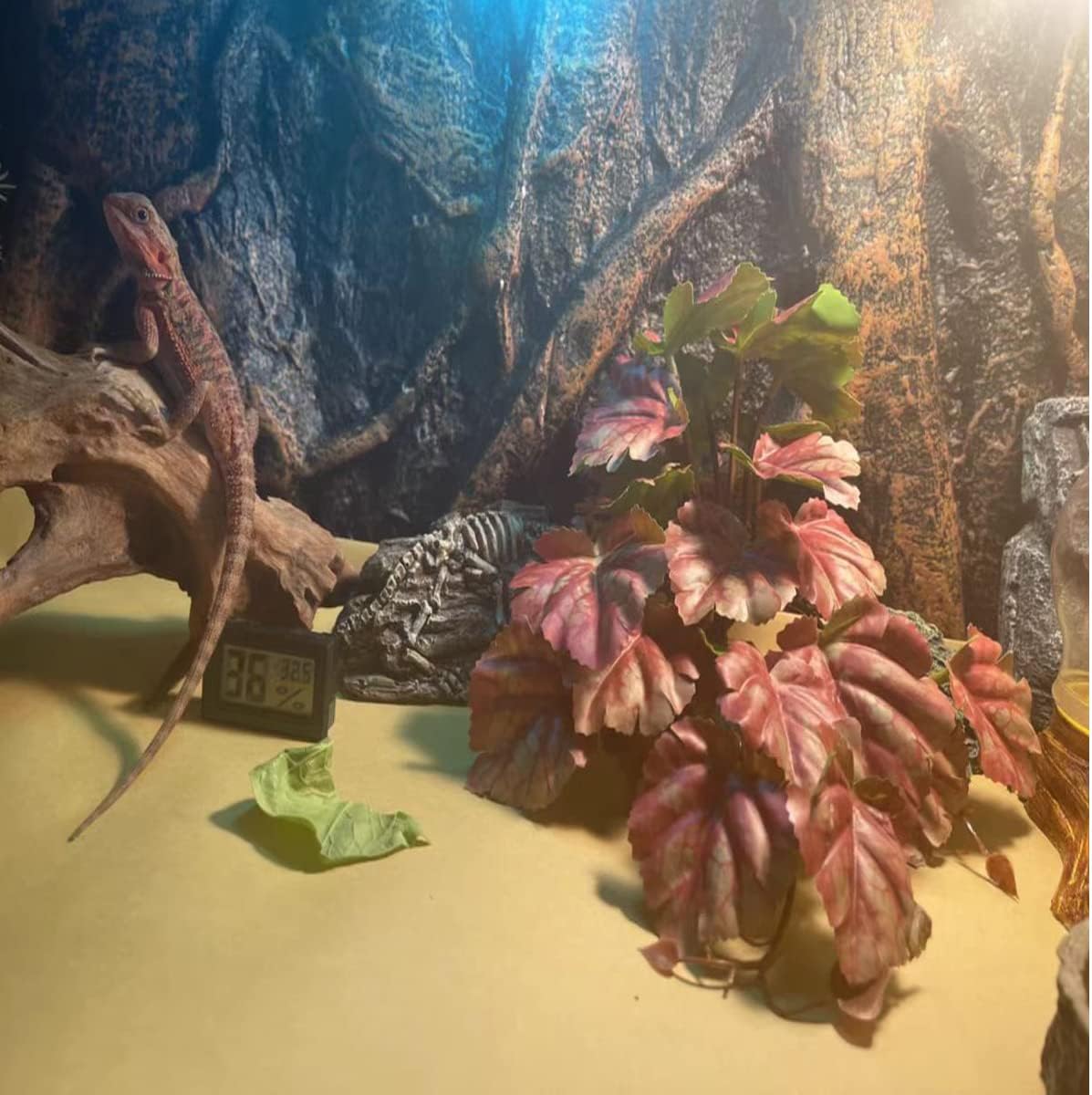 Reptile Plants for Terrarium Decor,Amphibian Habitat Decor,Artificial Plants for Gecko Chameleon Snake Tortoise Tank Accessories with Base (Pink heuchera micrantha)