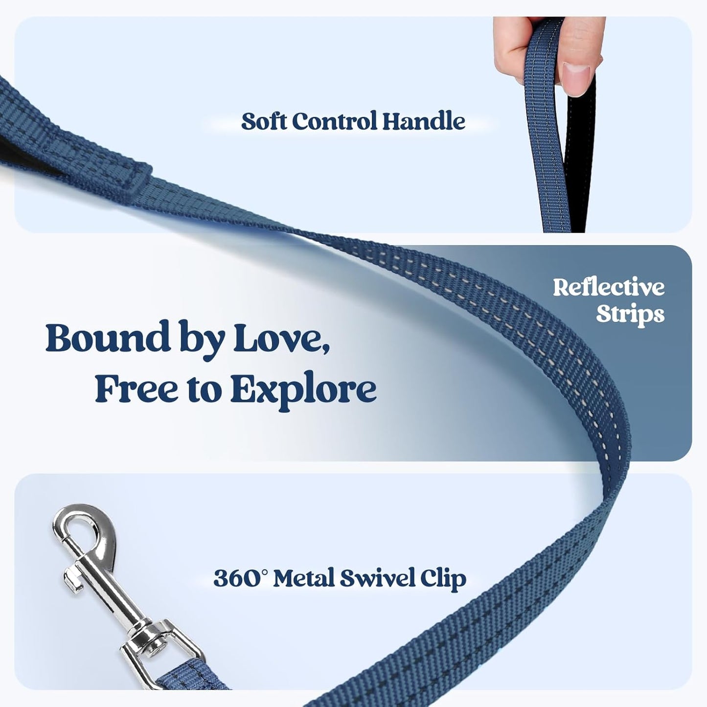 rabbitgoo Dog Harness Small Sized and Leash Set, Step in Soft Light Puppy Vest, Breathable Mesh Pet Harness, Reflective for Safe Outdoor Walking, Navy Blue XXS