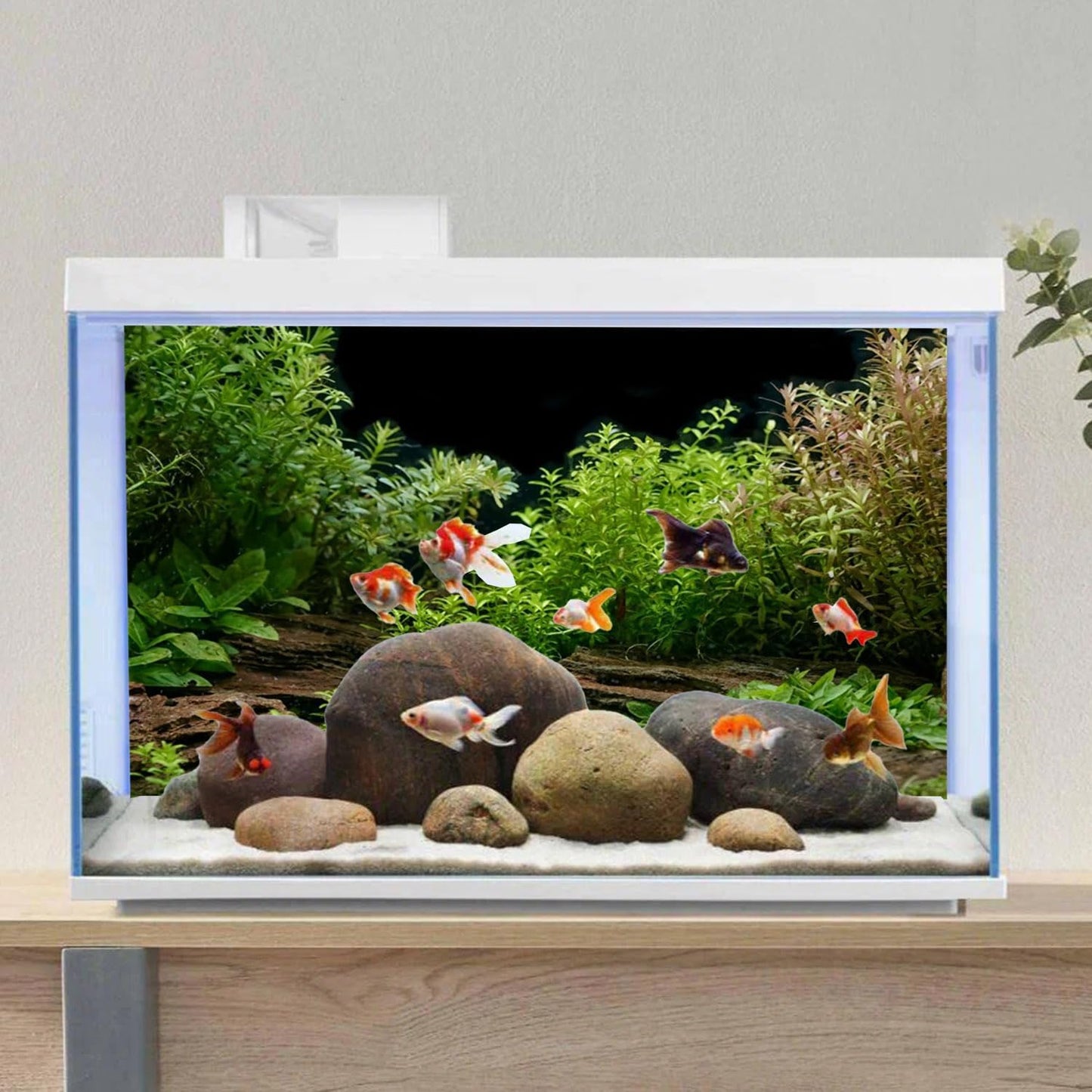 AWERT Aquarium Background River Bed & Lake Aquatic Plant Fish Tank Background Vinyl 24x12 inches