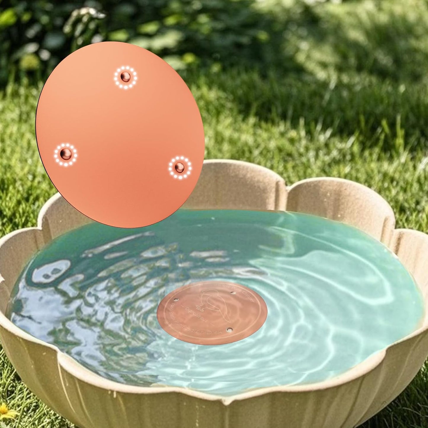 Bird Bath Copper Disk – 99.99% Pure Copper Water Cleaner, 1 mm Thick with Stable Triple-Point Support, Safe Natural Solution for Outdoor Birdbaths Bowls, for All-Season Use,Bird,2pcs