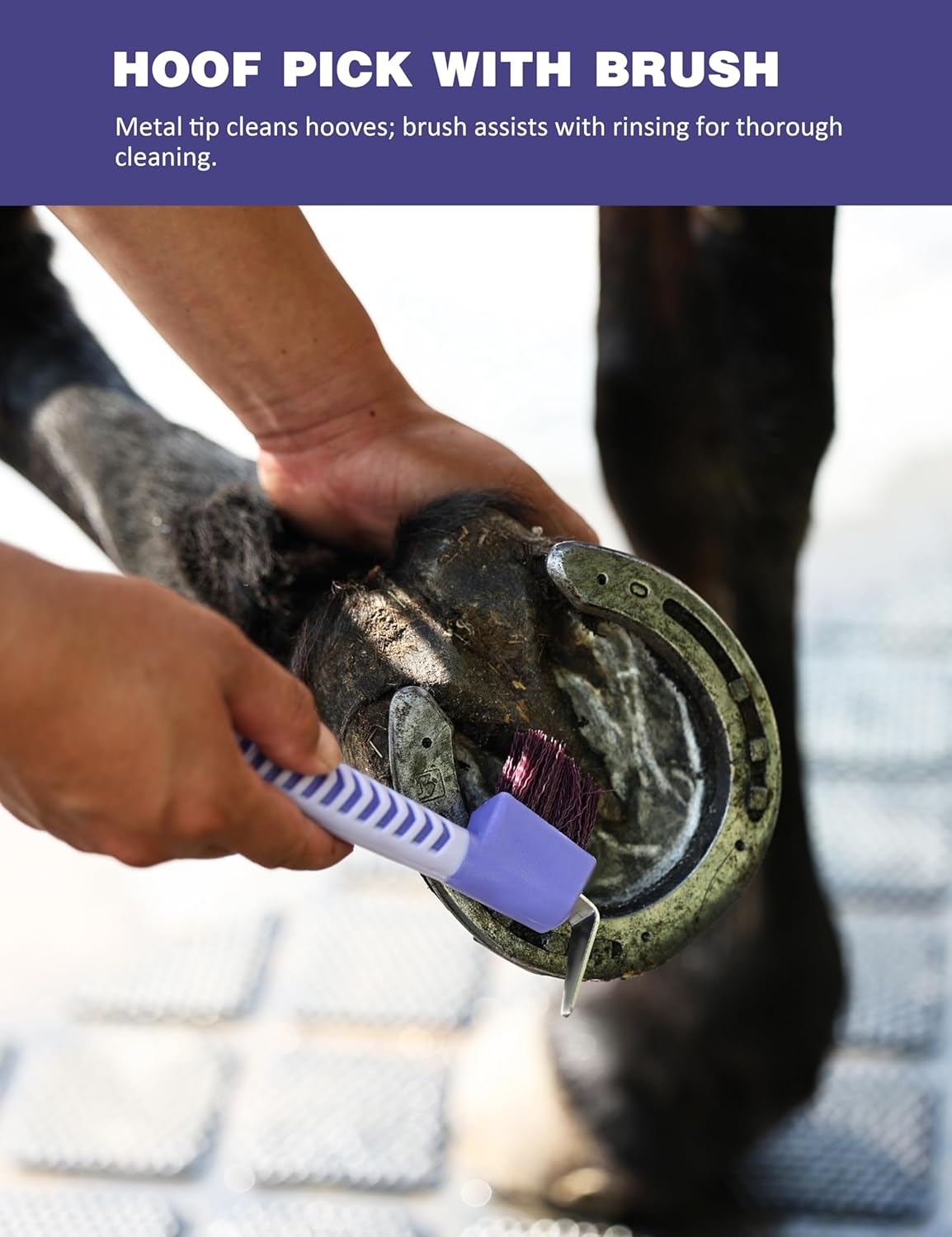 9PCS Horse Grooming Kit Curry Comb Sweat Scraper Horse Bathing Supplies Grooming Tools with Storage Bag Sugar Taro