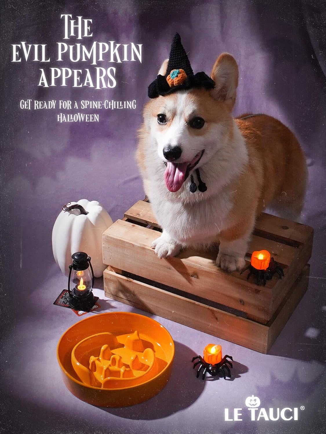 LE TAUCI Ceramic Puzzle Feeder Elevated 3 Cup with Wood Stand for Small Medium Dog & Puppy, Fast Eater Raised Dish Pumpkin Orange