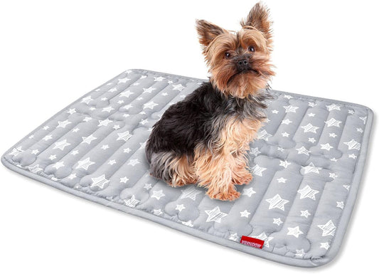 Dog Crate Mat (24" X 18"), Soft Dog Bed Mat with Cute Prints, Personalized Crate Pad, Anti-Slip Bottom, Machine Washable Kennel Pad