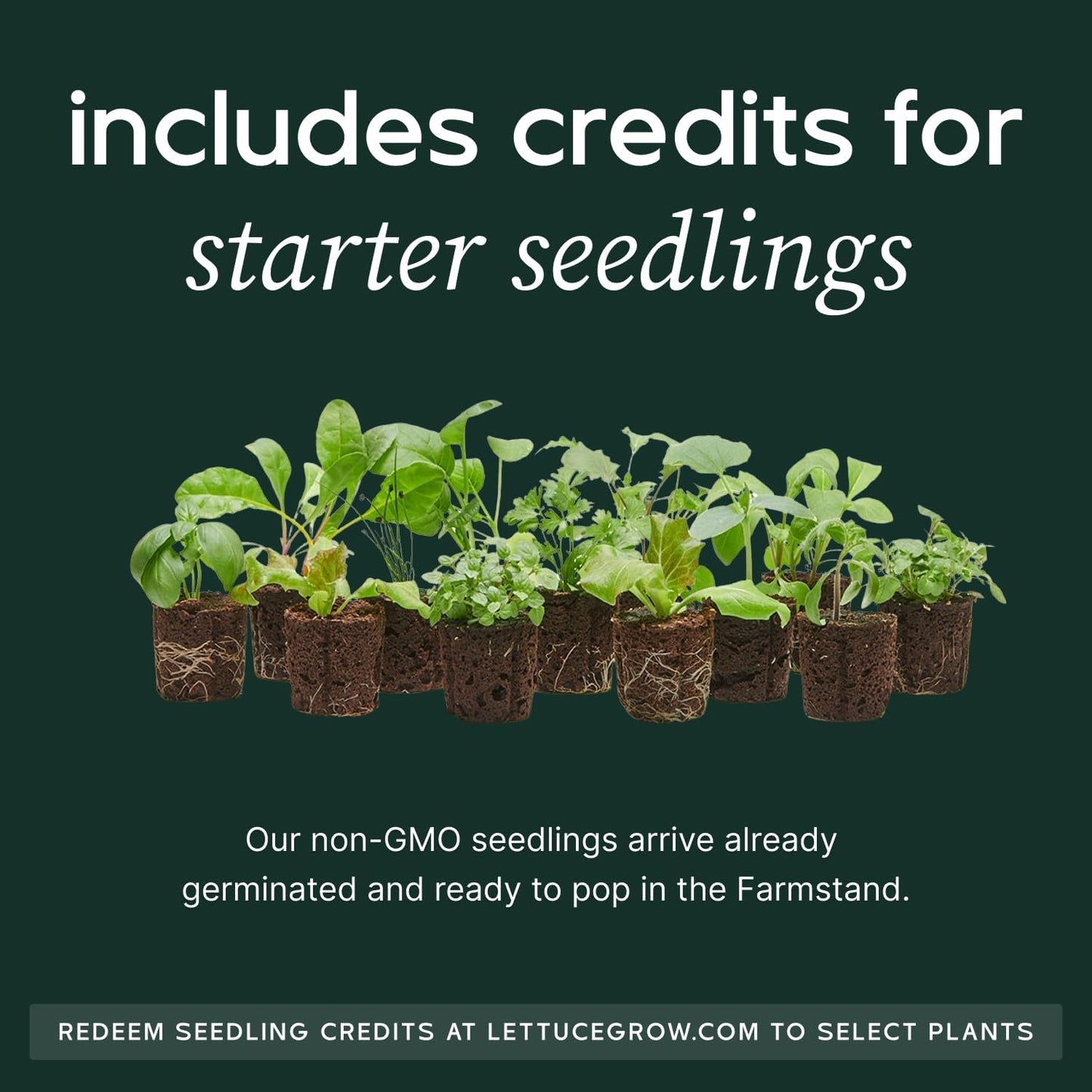 Farmstand Starter Kit with Glow Rings and 36 Seedling Credits | Large Hydroponic Growing System Kit | Vertical Garden Planter Tower | 6ft 7in Tall