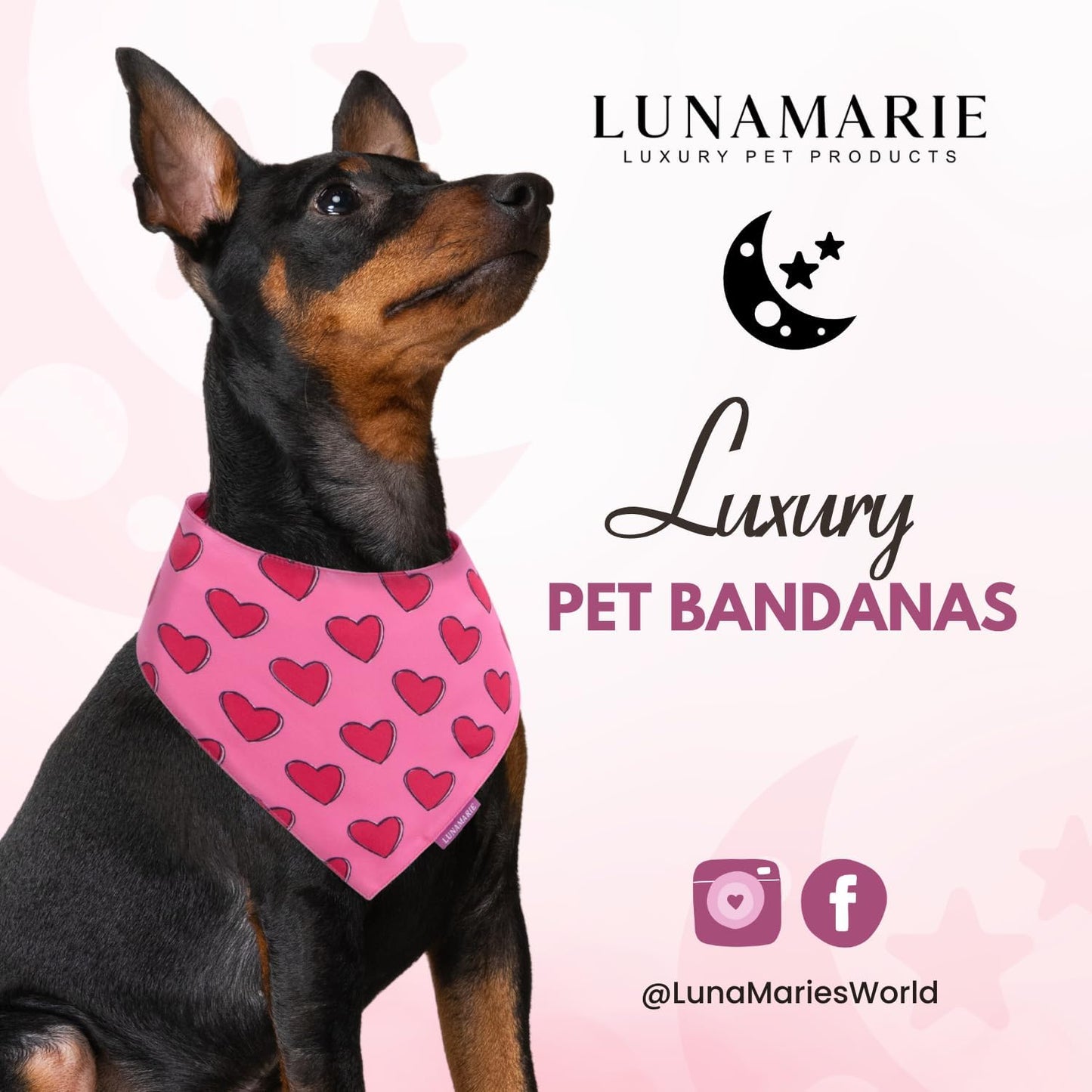 LunaMarie - Luxury Pet Birthday Bandanas -Premium & Silky Poly Fabric | 100% Handmade | Custom Shape Dual Layered (Jennifer, Large)