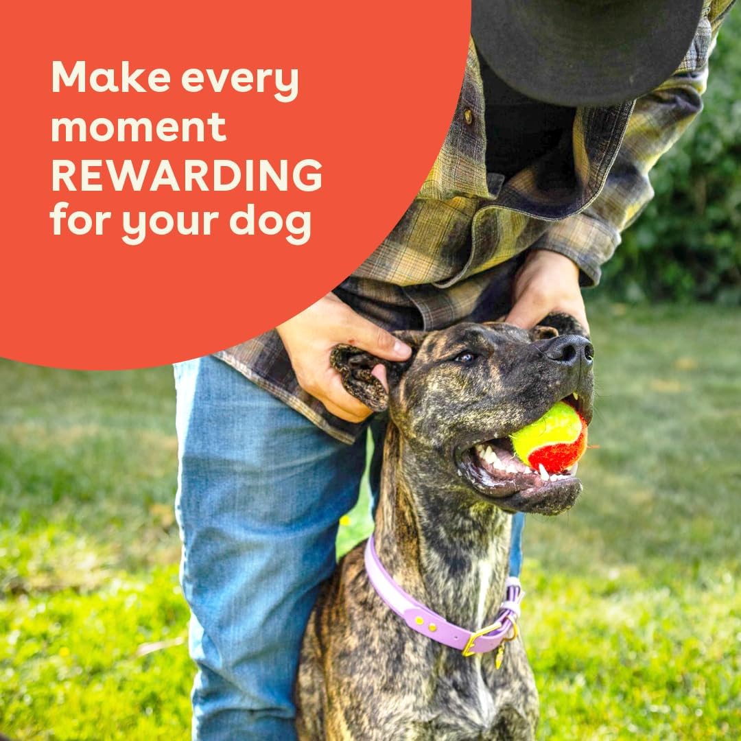 Pupford Freeze Dried Chicken Breast Treat for Dogs & Puppies - Healthy, Natural, Single Ingredient Dog Treats - Made in USA (5.75 oz) (Pack of 2)