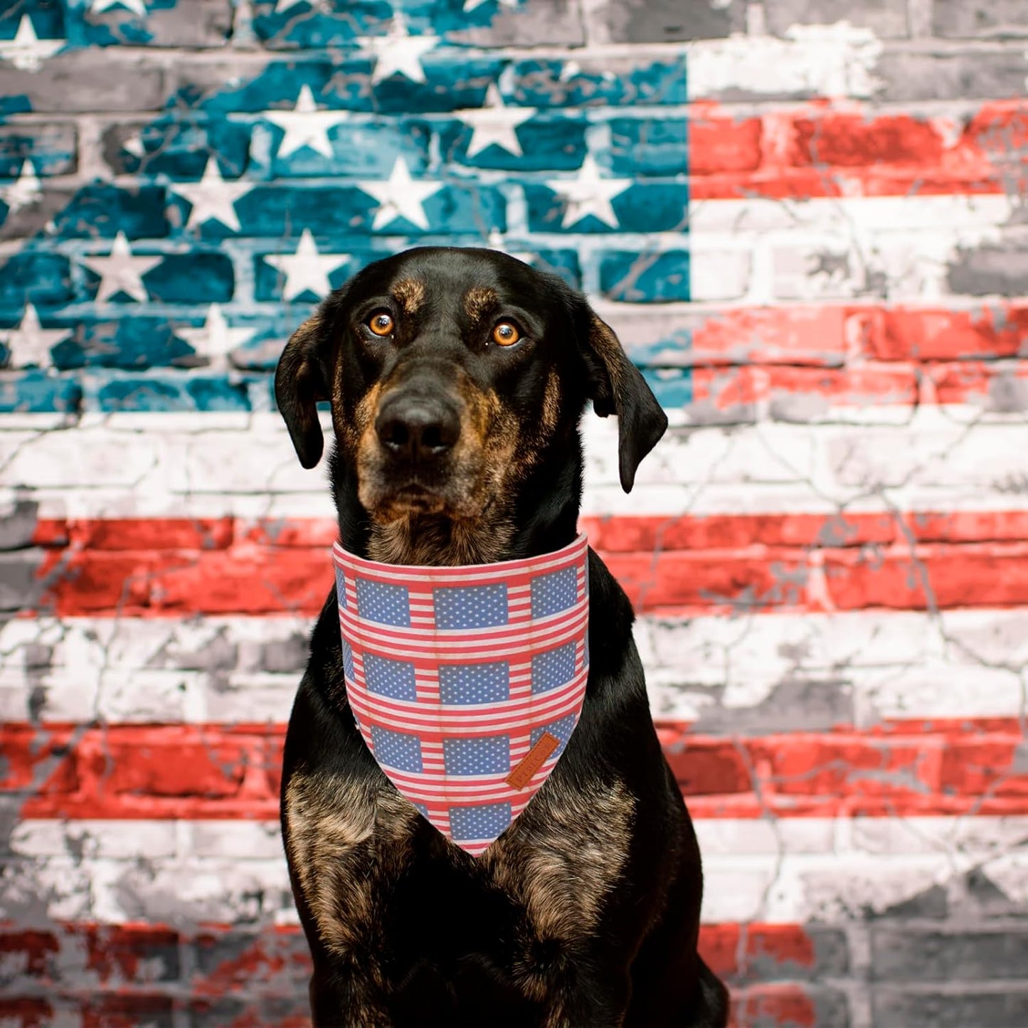 PTDECOR American Flag Dog Bandana Flag Stars Patterns, Patriotic Pet Scarf Reversible Triangle 4th of July Bandanas for Small Dogs Pets (Small)