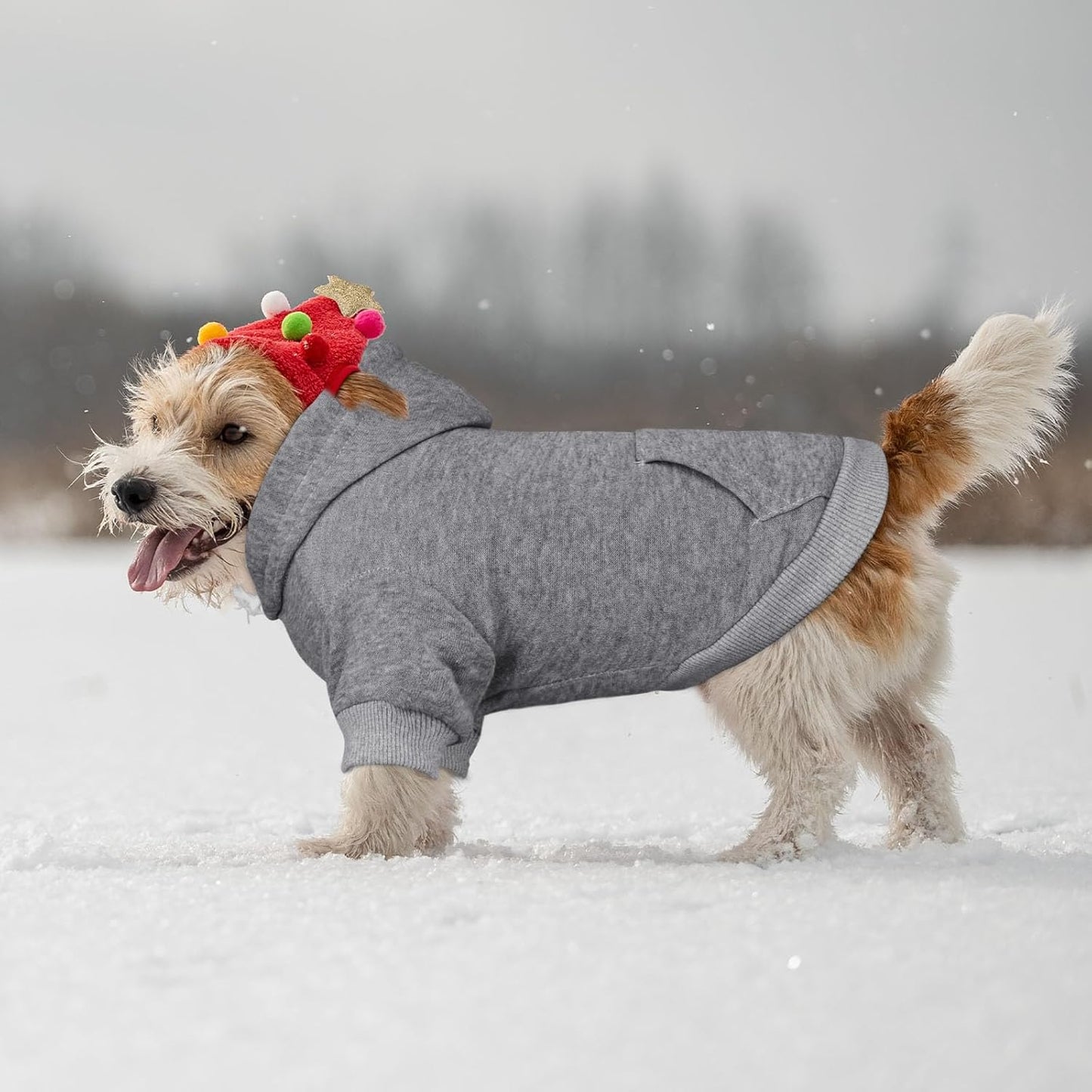 Dog Sweaters for Small Dogs Dog Hoodie Dog Sweater Solid Soft Brushed Fleece Dog Clothes Dog Hoodie Sweatshirt with Pocket(Grey-S)