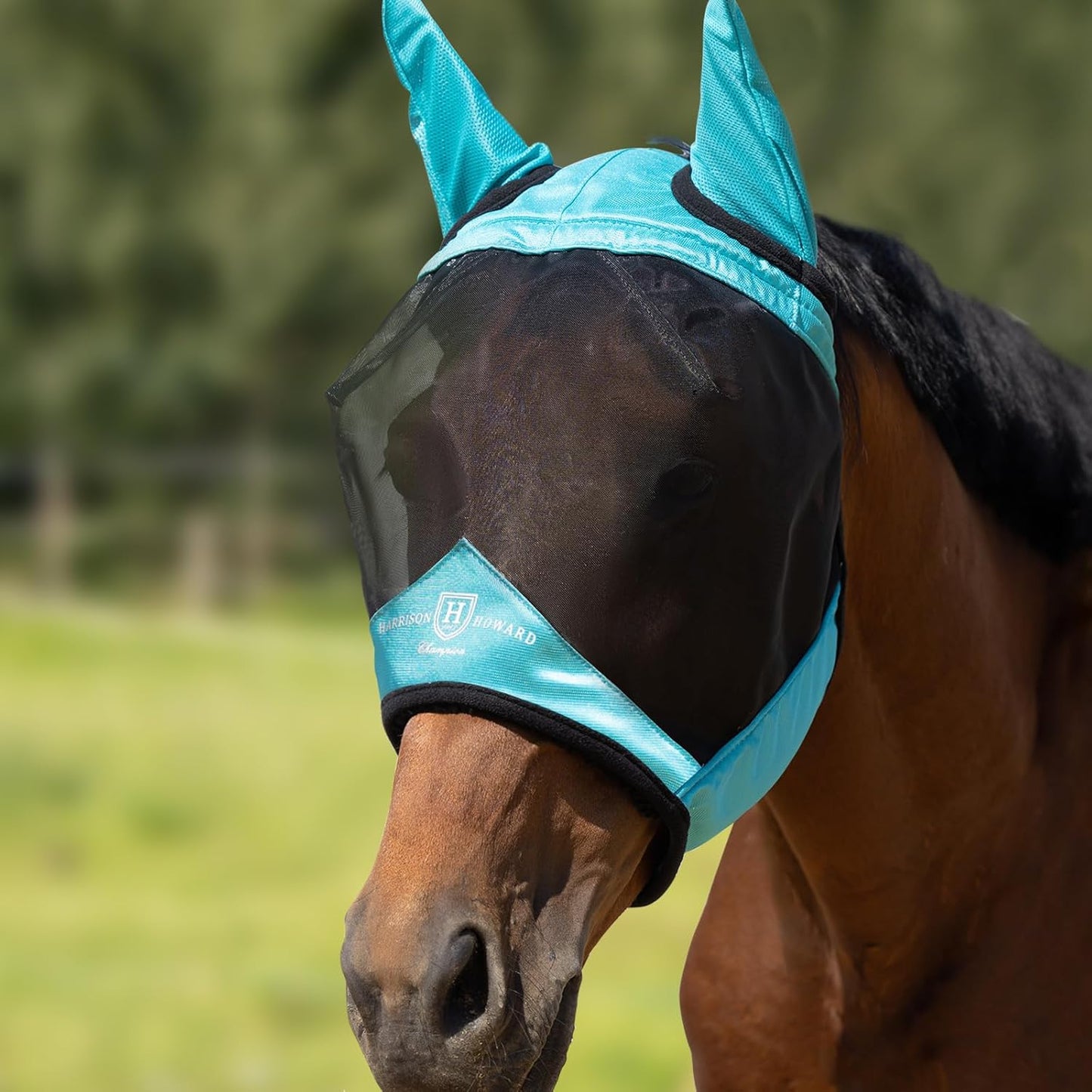 Harrison Howard Pro Luminous Horse Half Face Fly Mask Large Eye Space with Ears UV Protection for Horse Teal L