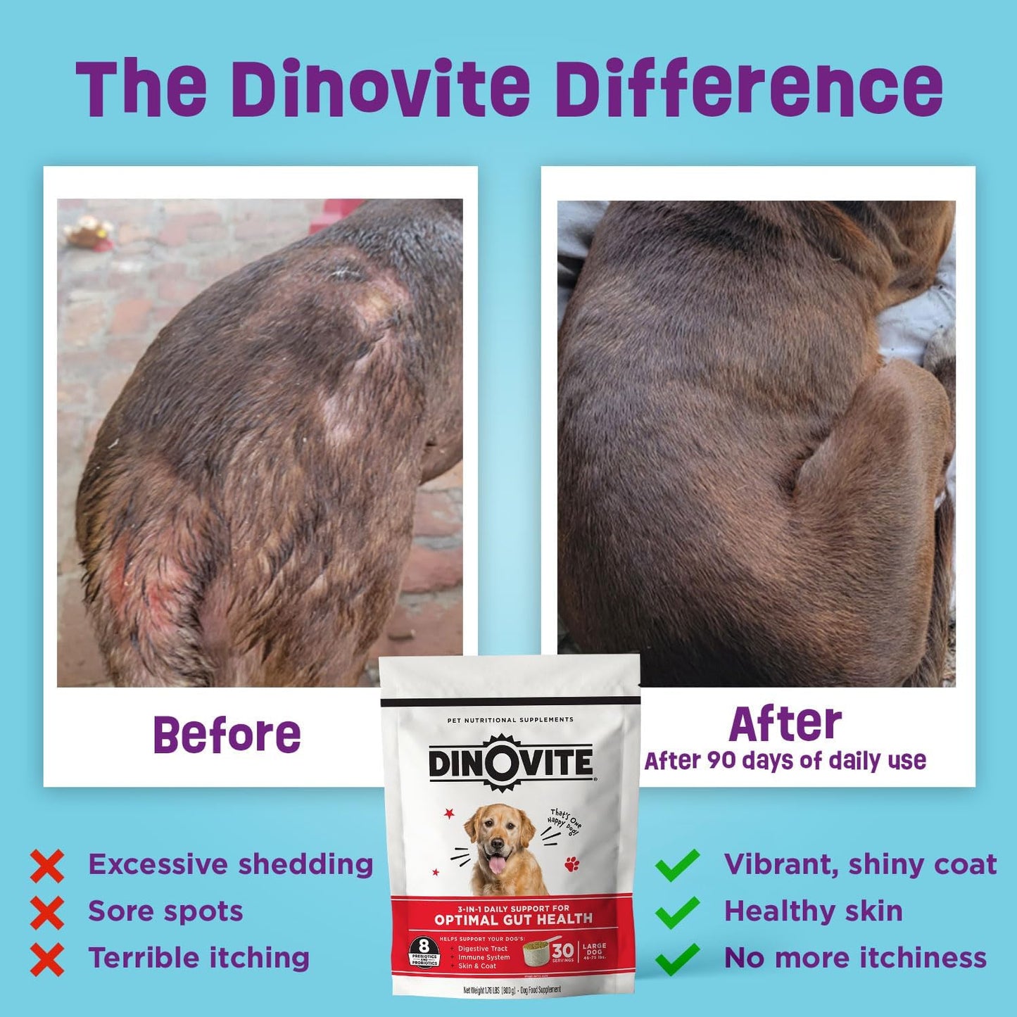 Dinovite 3 in 1 Probiotic for Medium Dogs, Skin & Coat, Digestive Health & Joint Relief, Dog Food Toppers, Immune Support, Allergy Relief & Itch Relief Skin Care, 30 Servings (18-45lb)