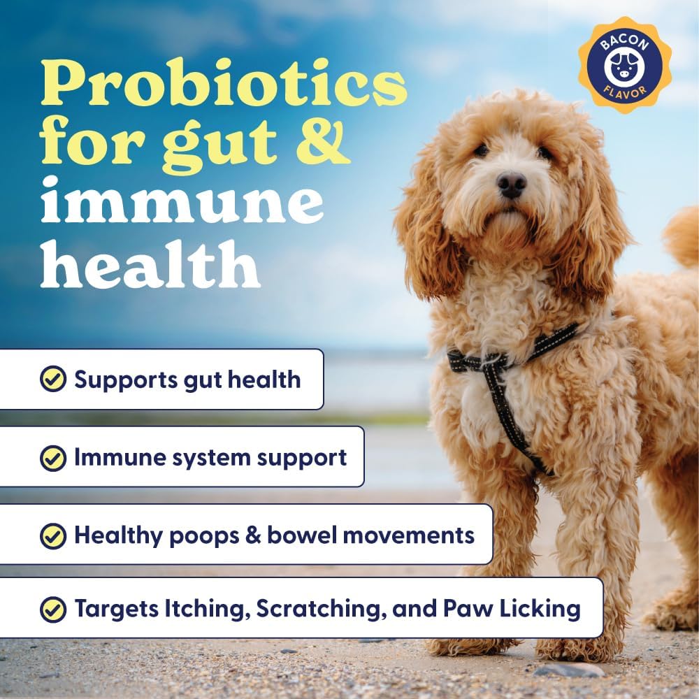 Origin Labs Belly Buddies - Probiotics for Dogs - Prebiotics & Probiotics - Supports Gut, Skin, and Immune Health - 5 Billion CFUs 7 Strain Probiotic Blend - Natural Bacon Flavor, 90 Soft Chews